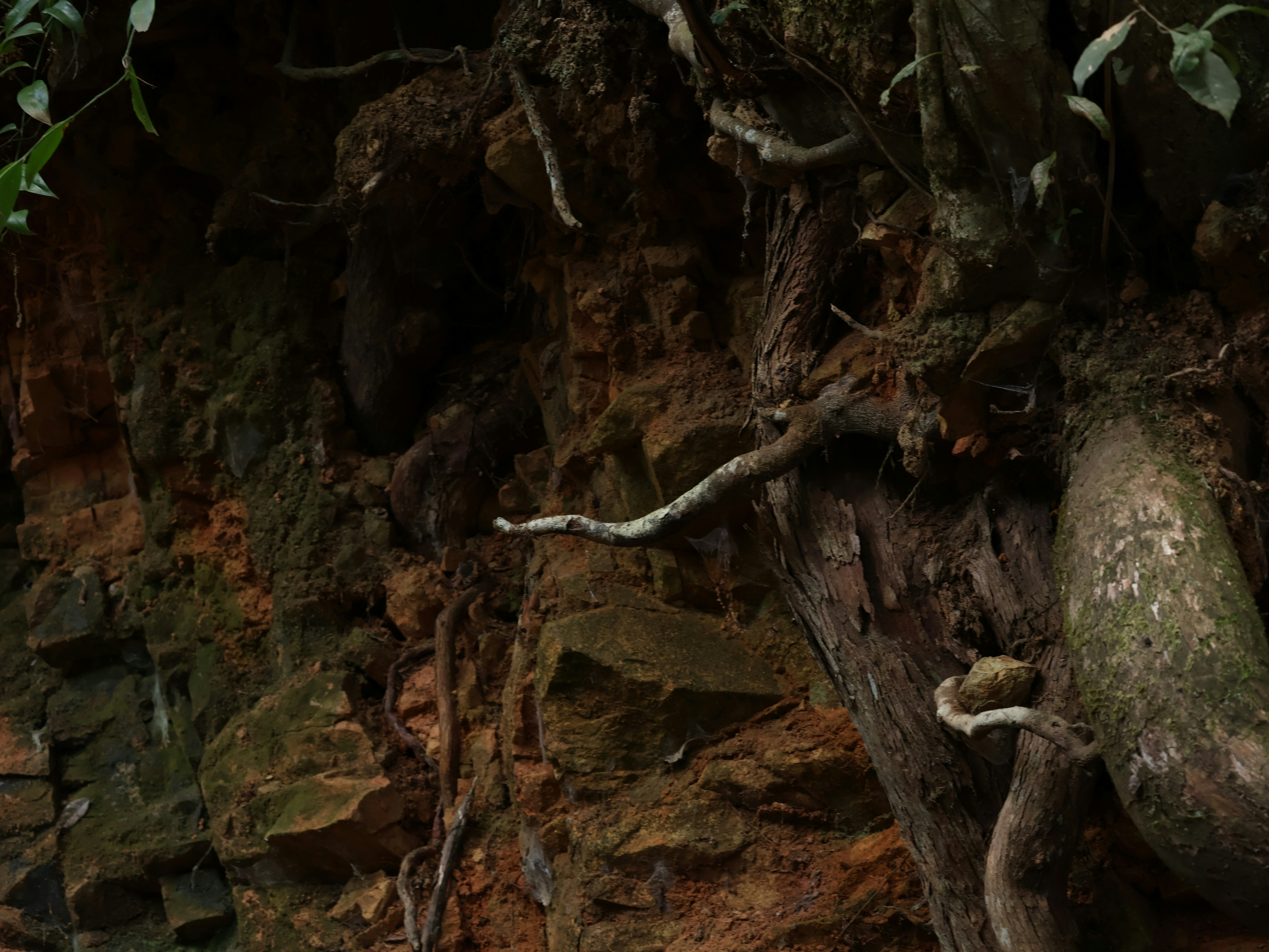 Photo by daniellawithoutane