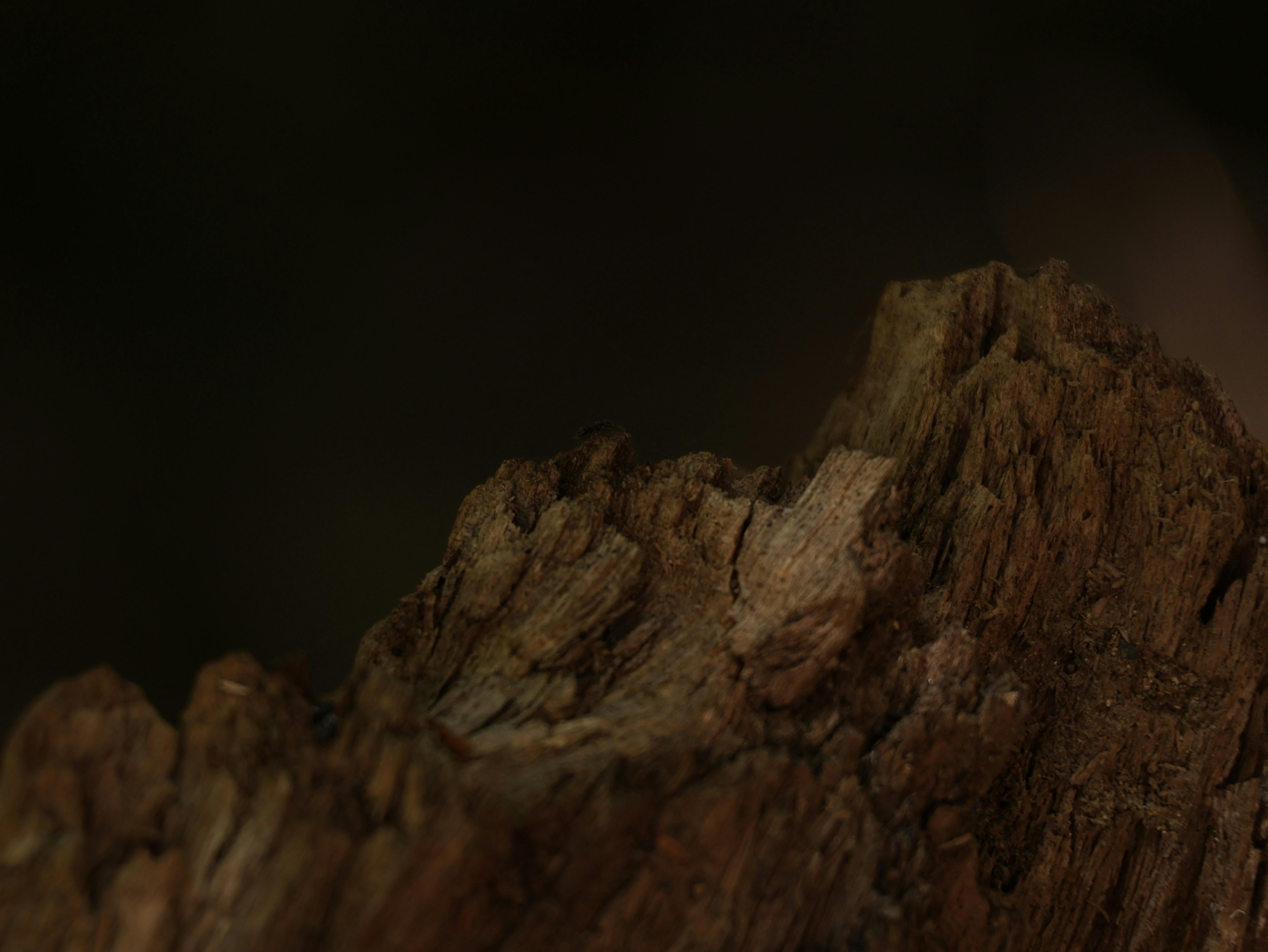 Photo by daniellawithoutane