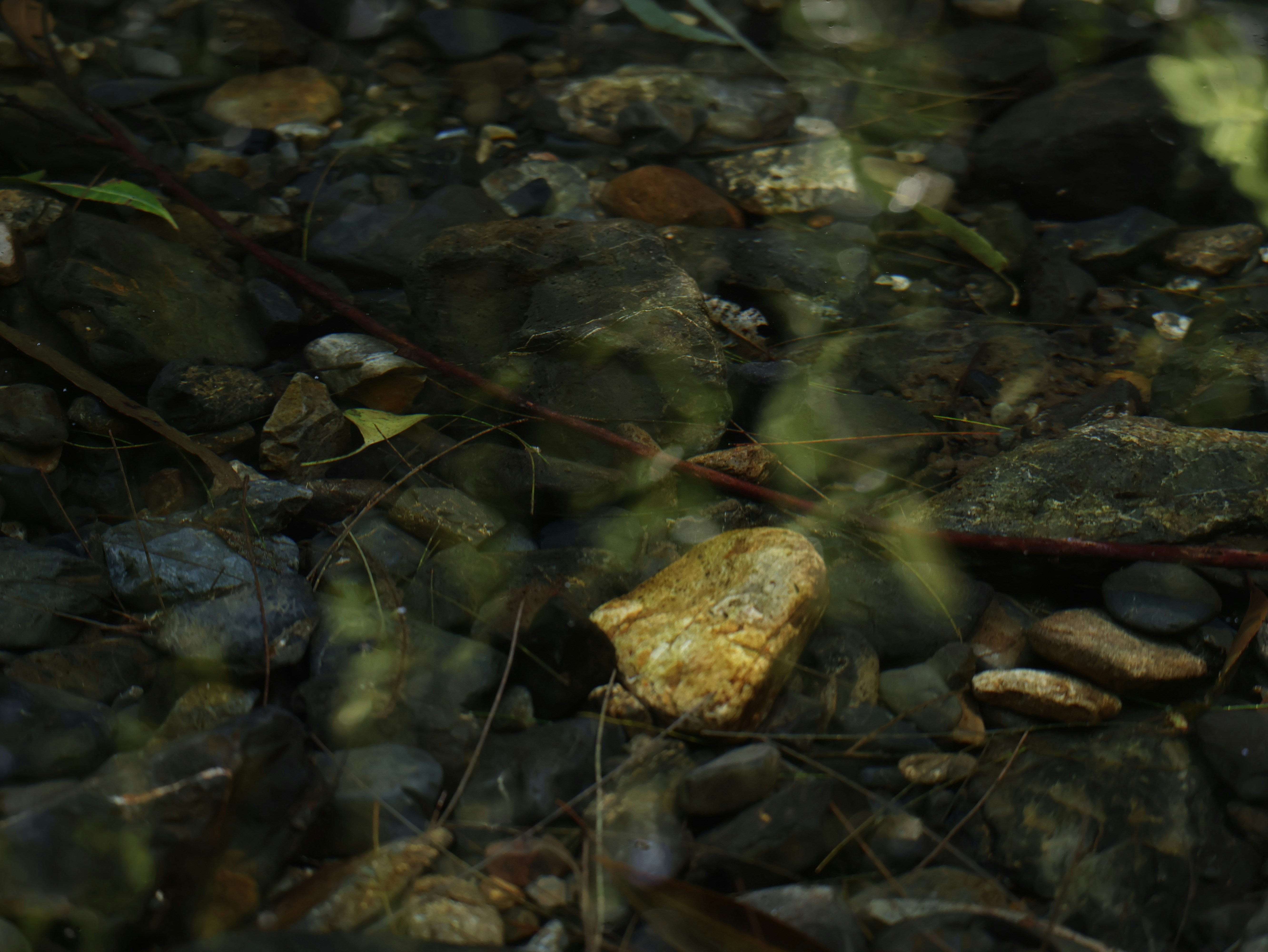 Photo by daniellawithoutane