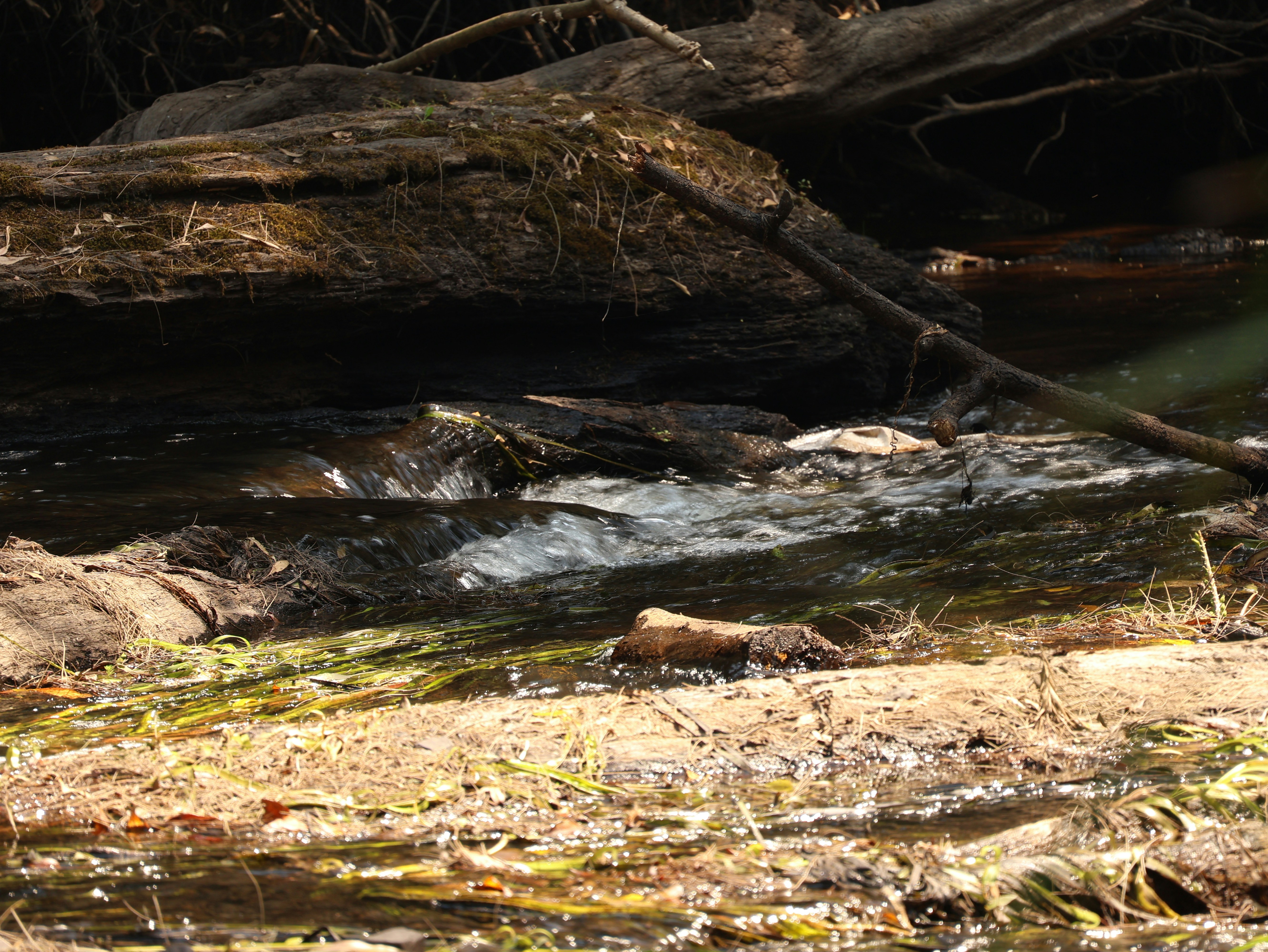 Photo by daniellawithoutane