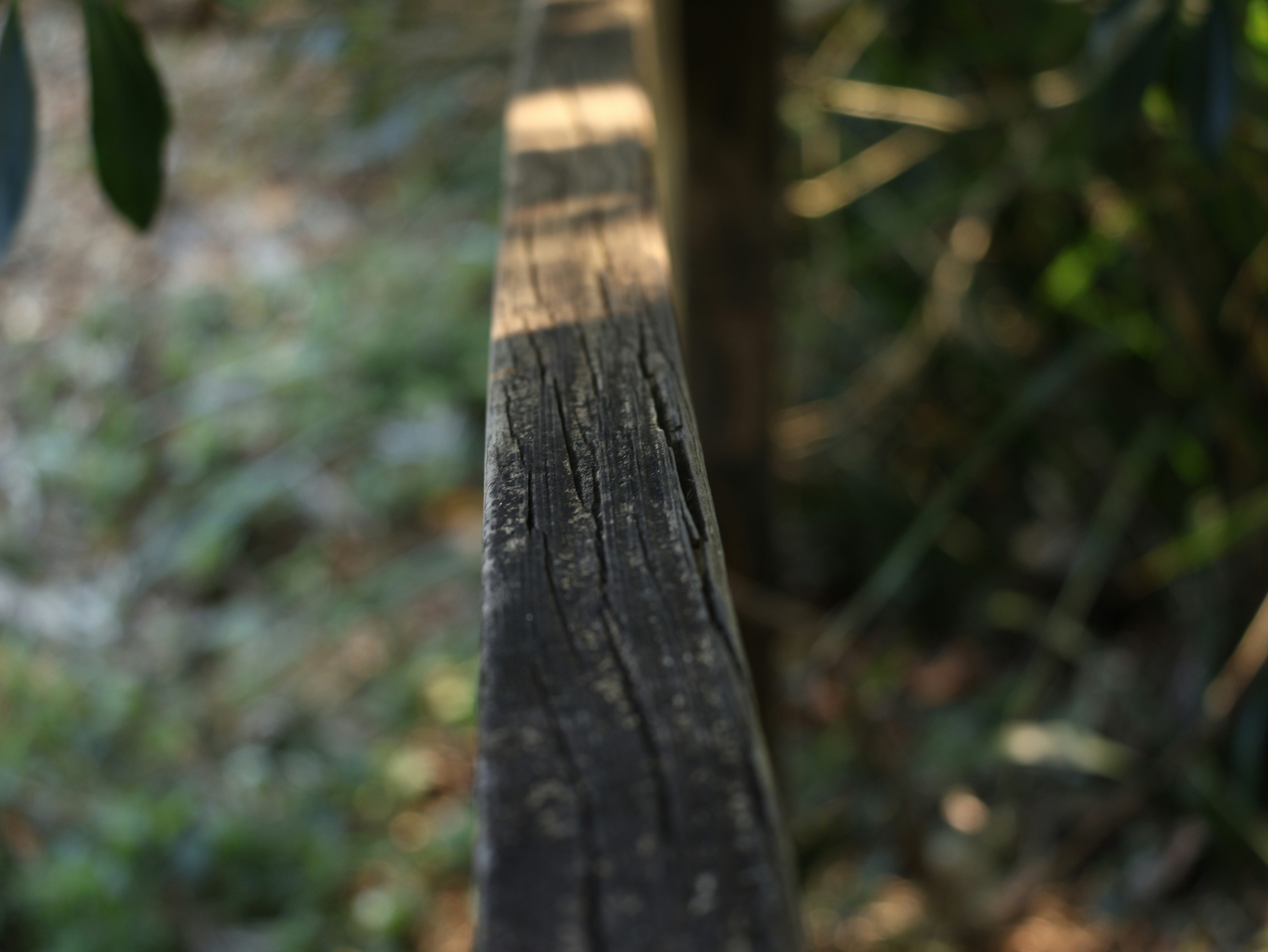 Photo by daniellawithoutane