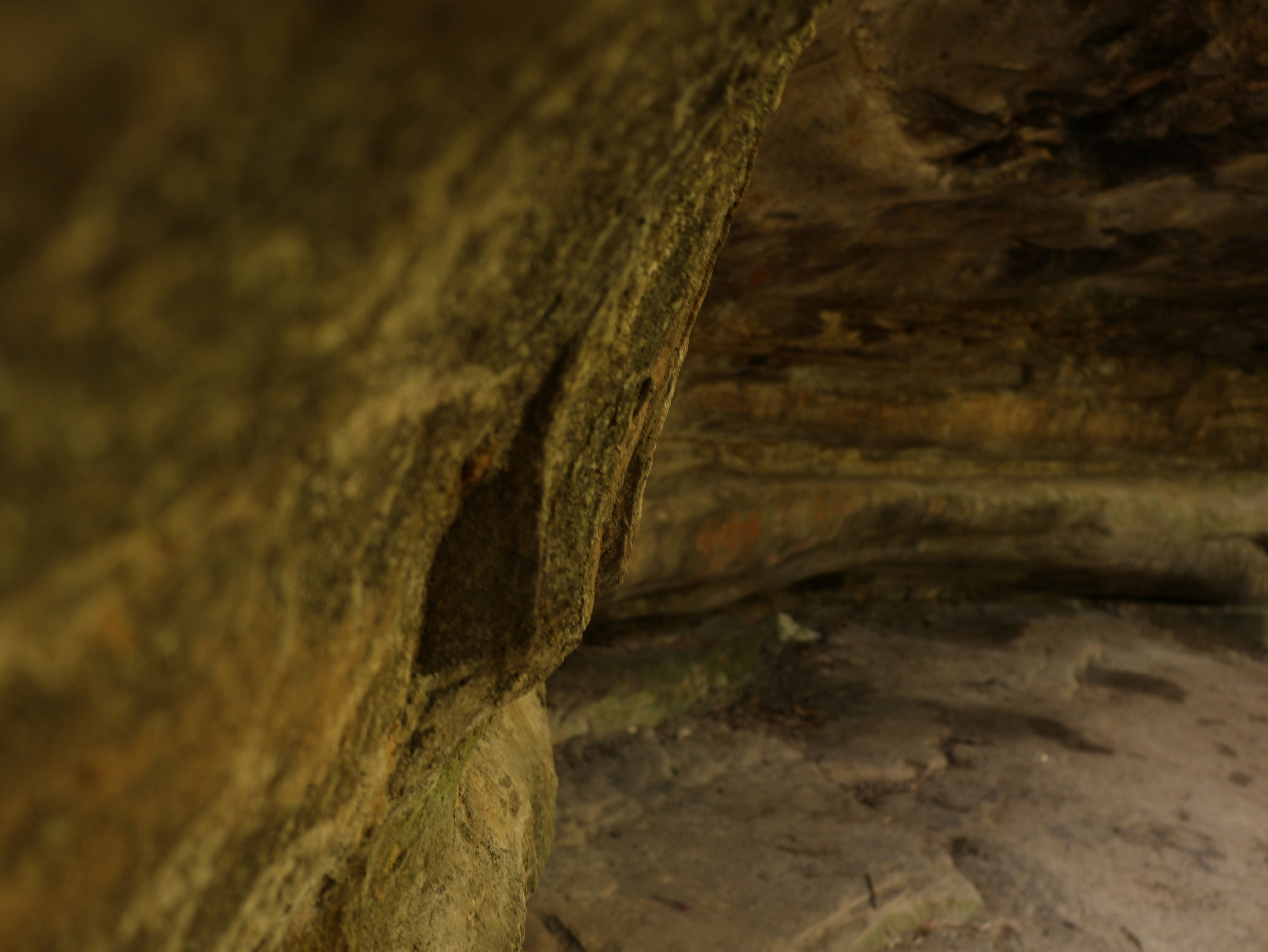 Photo by daniellawithoutane