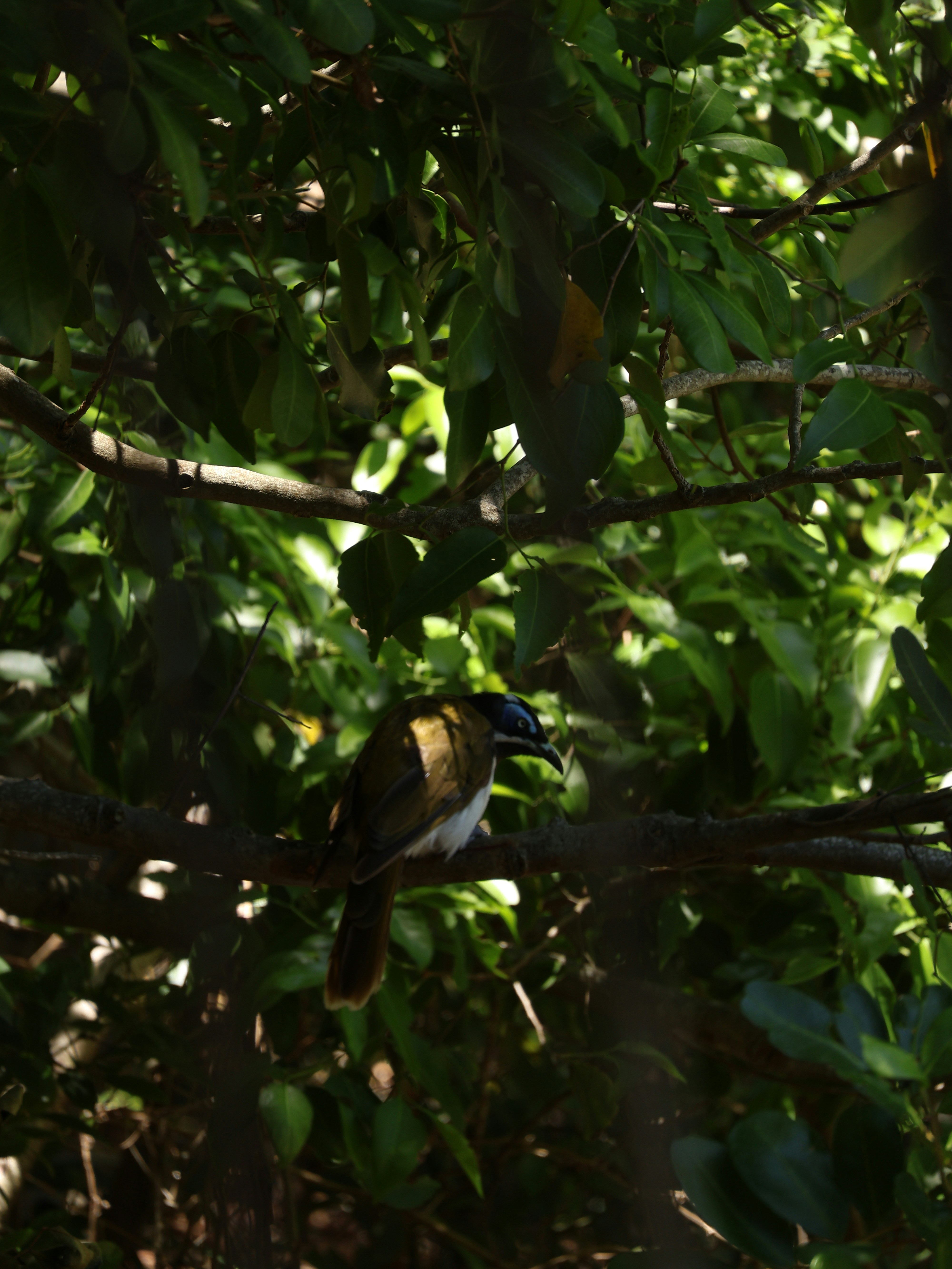 Photo by daniellawithoutane