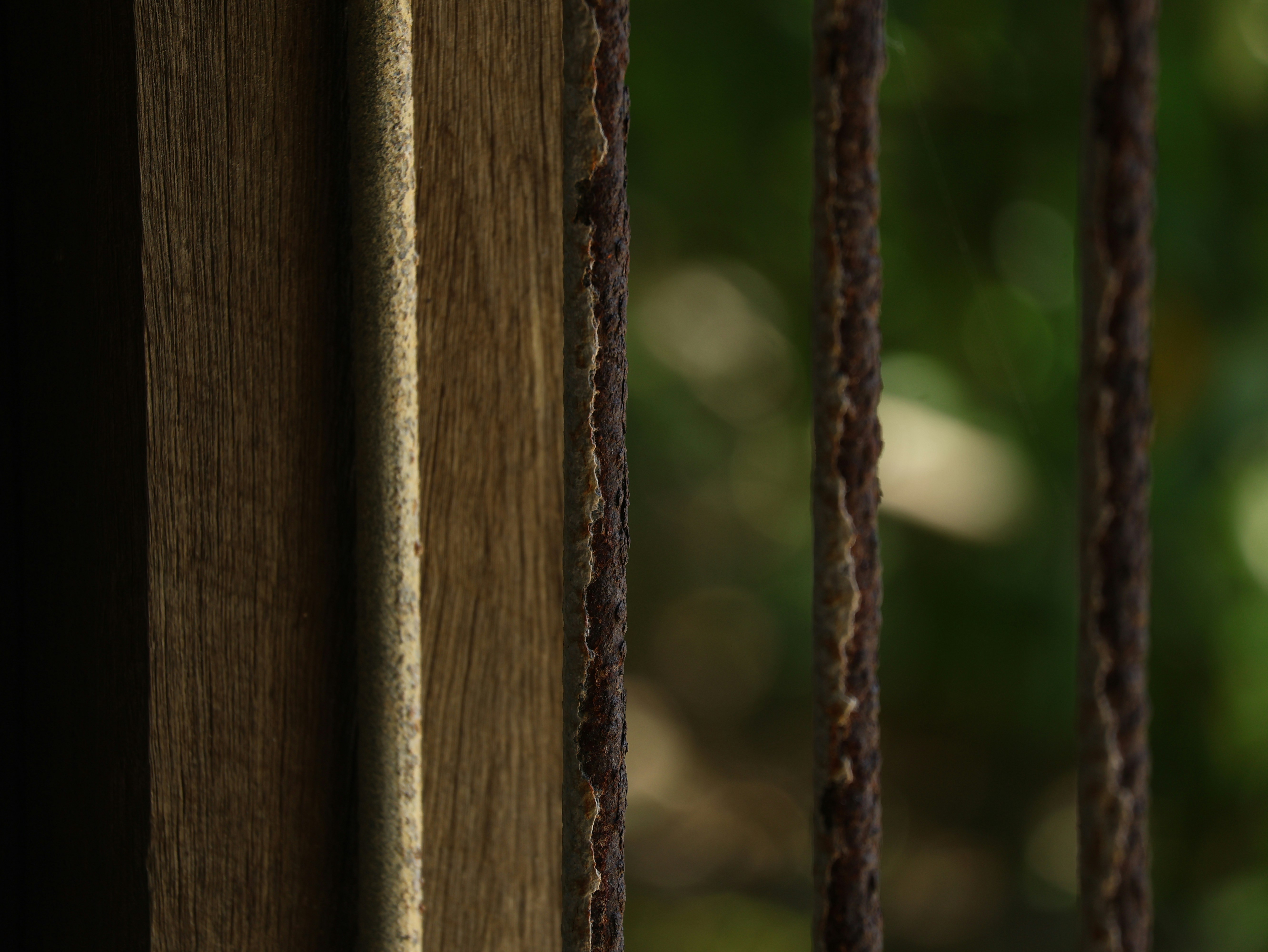 Photo by daniellawithoutane