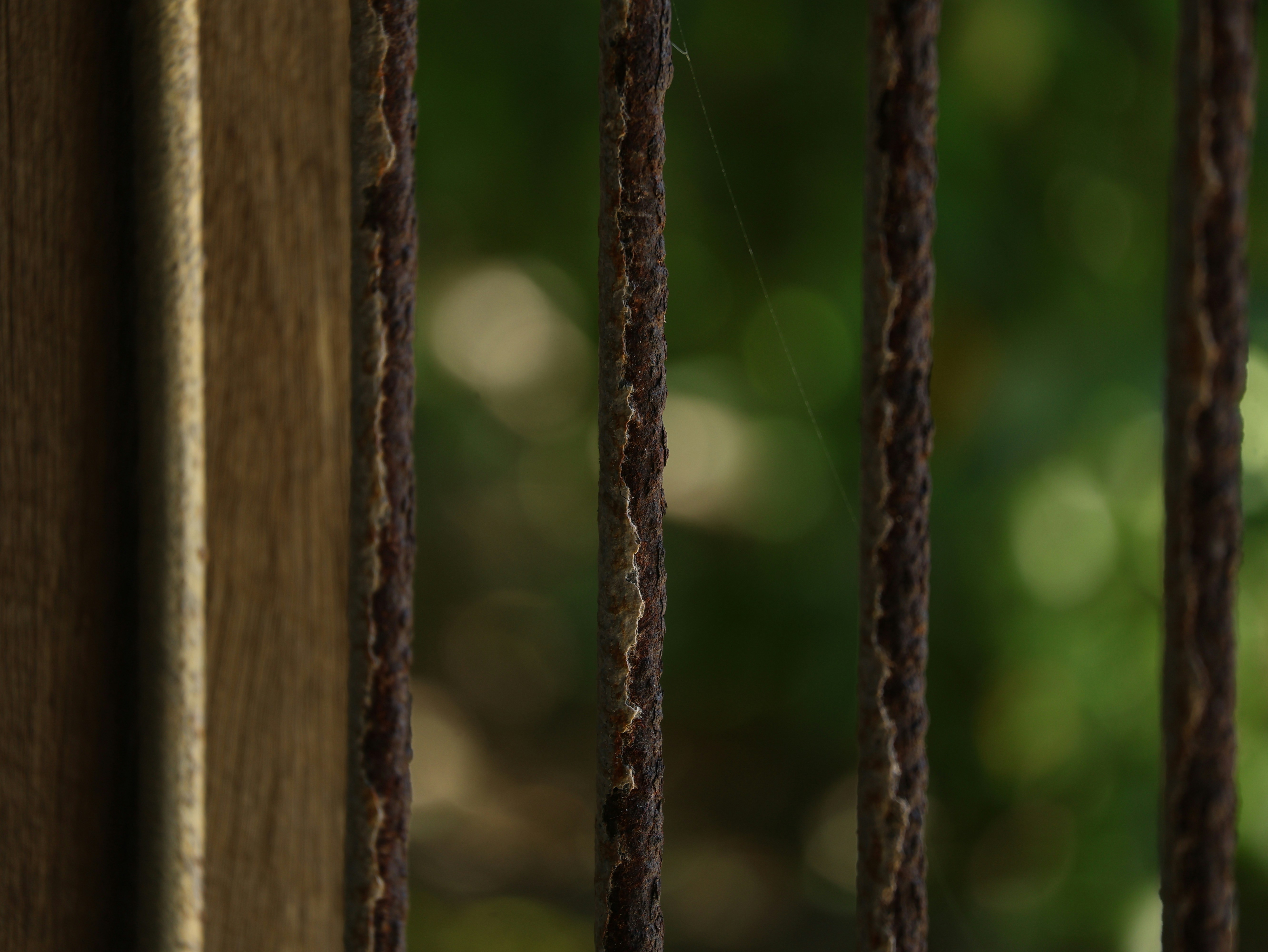 Photo by daniellawithoutane