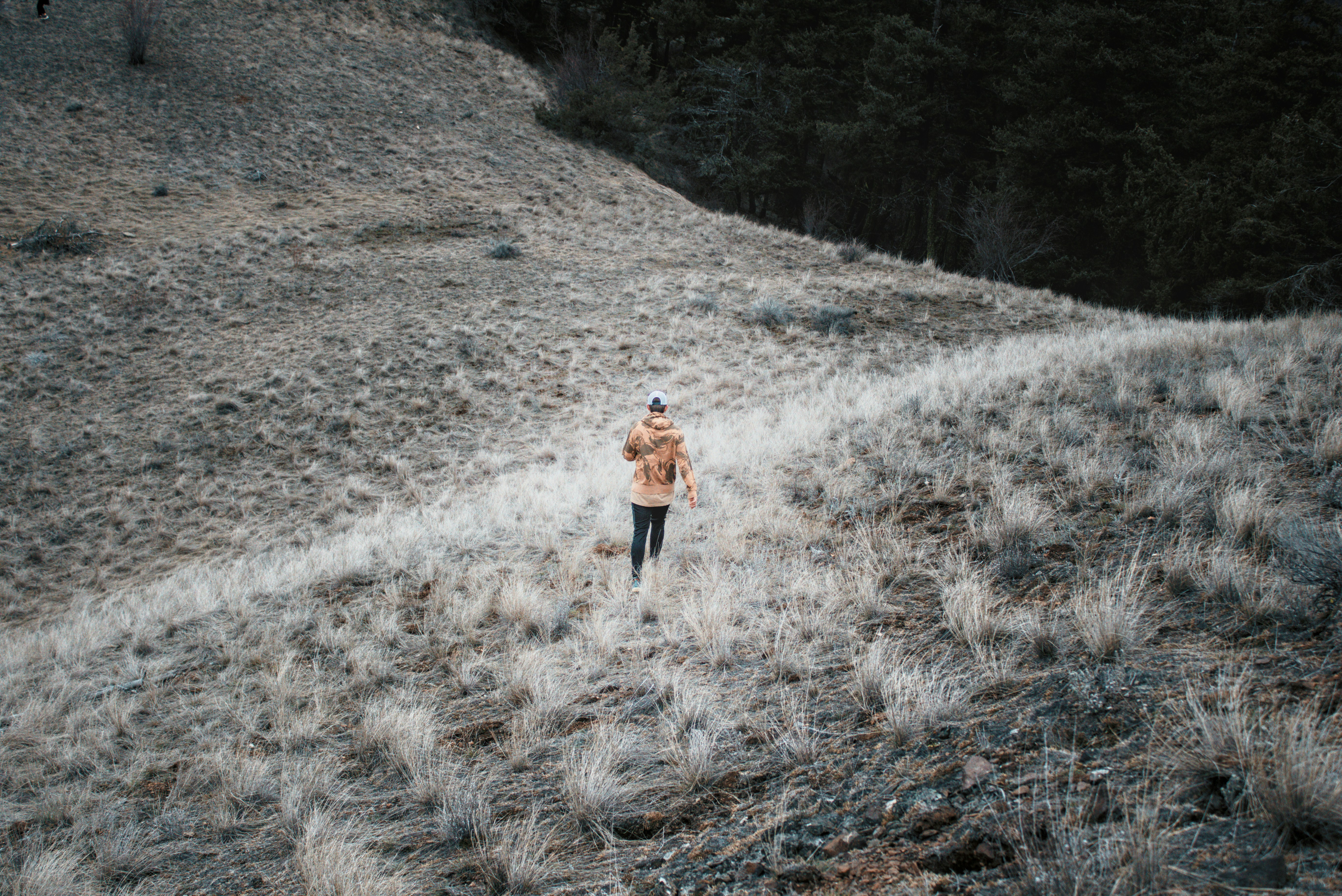 Photo by dcanadianphotographer