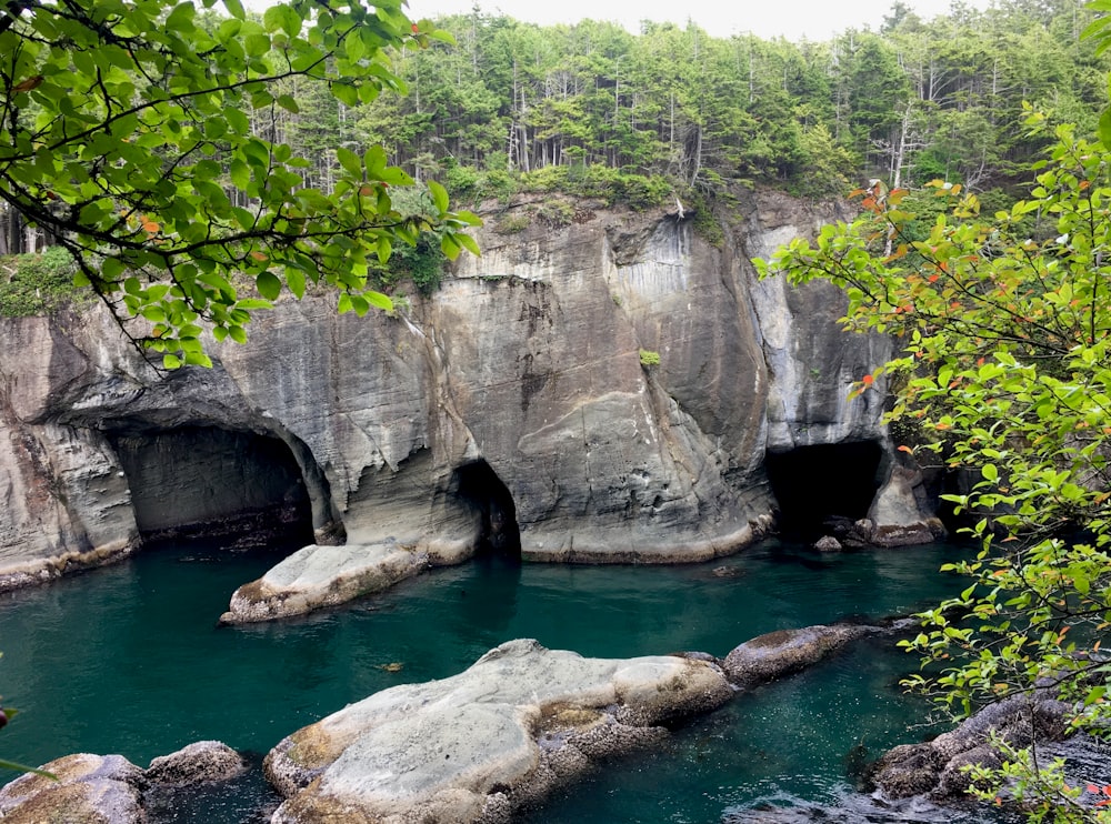um corpo de água cercado por rochas e árvores