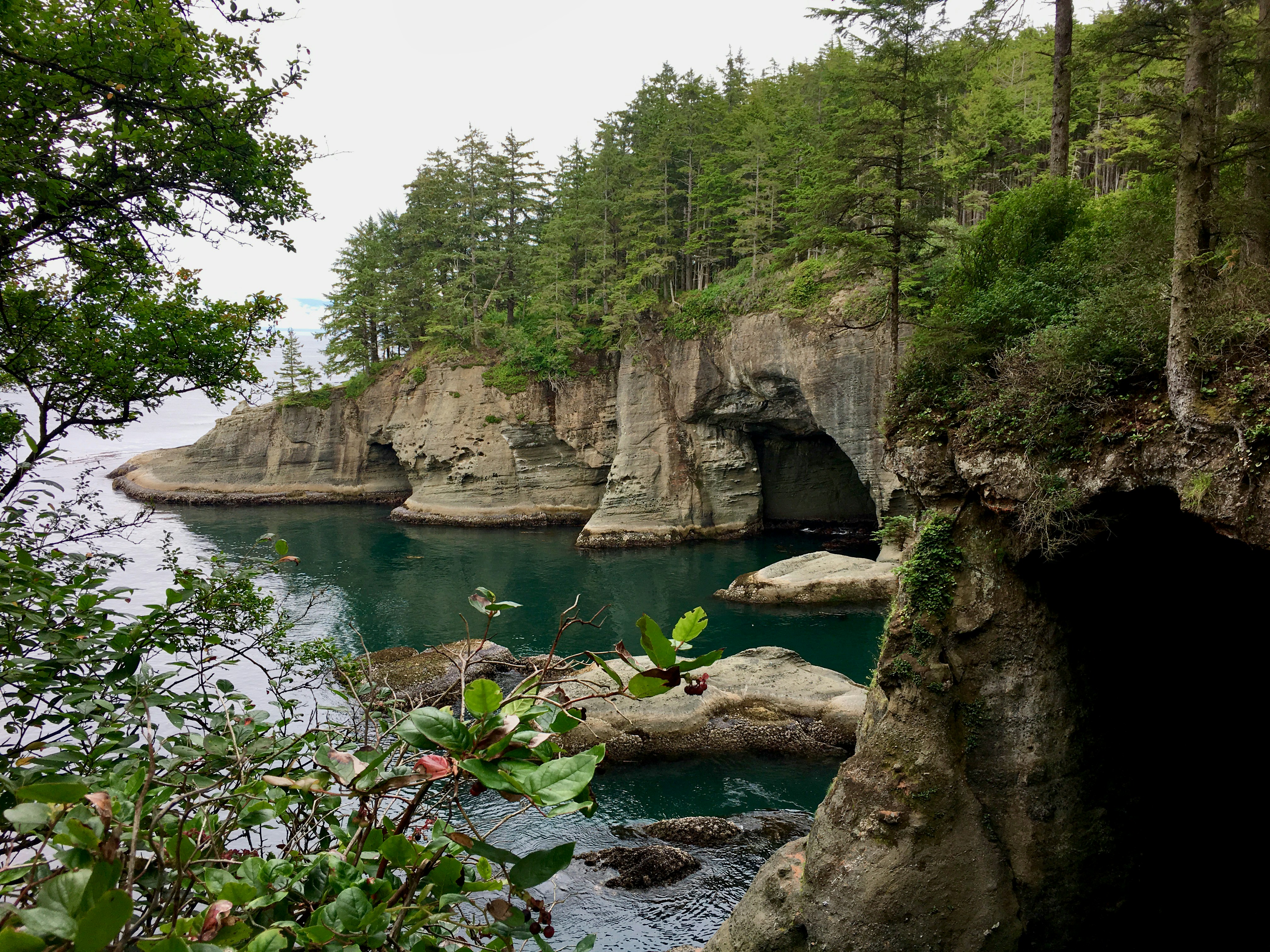 Photo by zoshuacolah