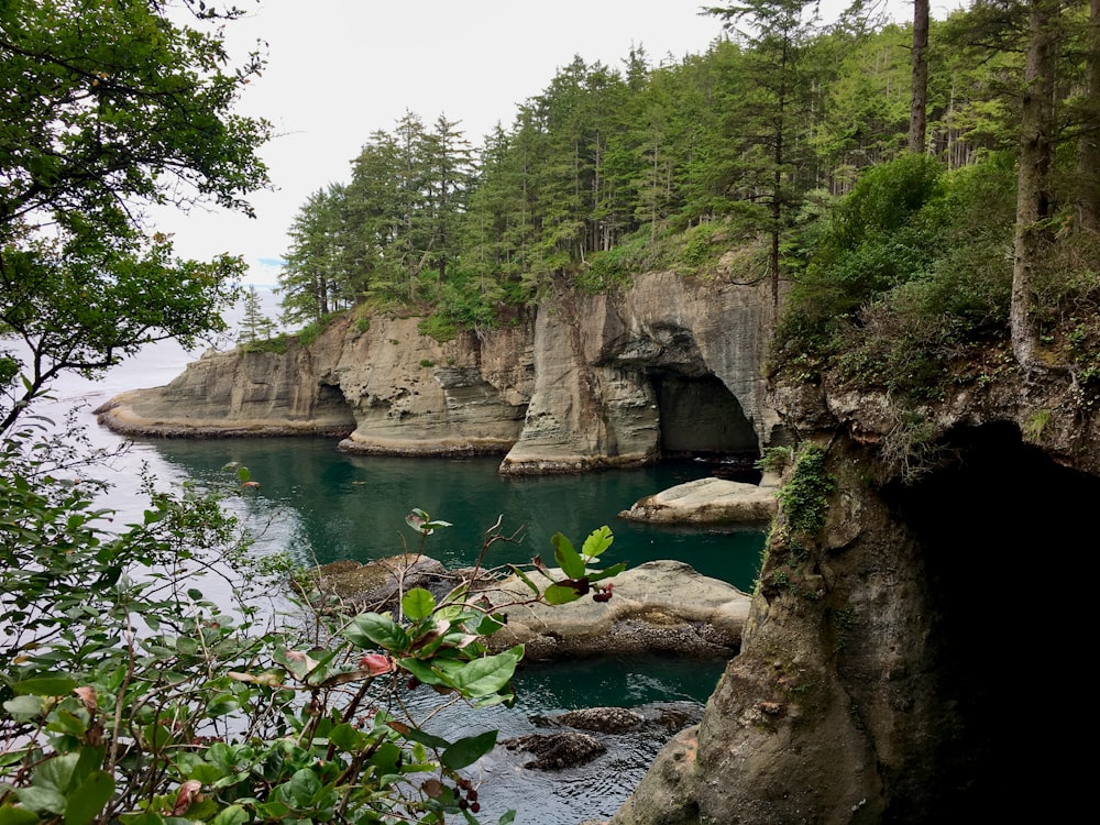 um corpo de água cercado por árvores e rochas