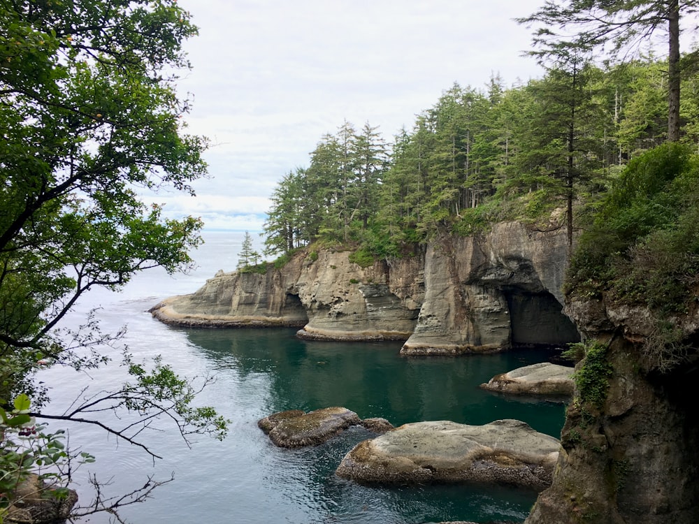 a body of water surrounded by trees and rocks