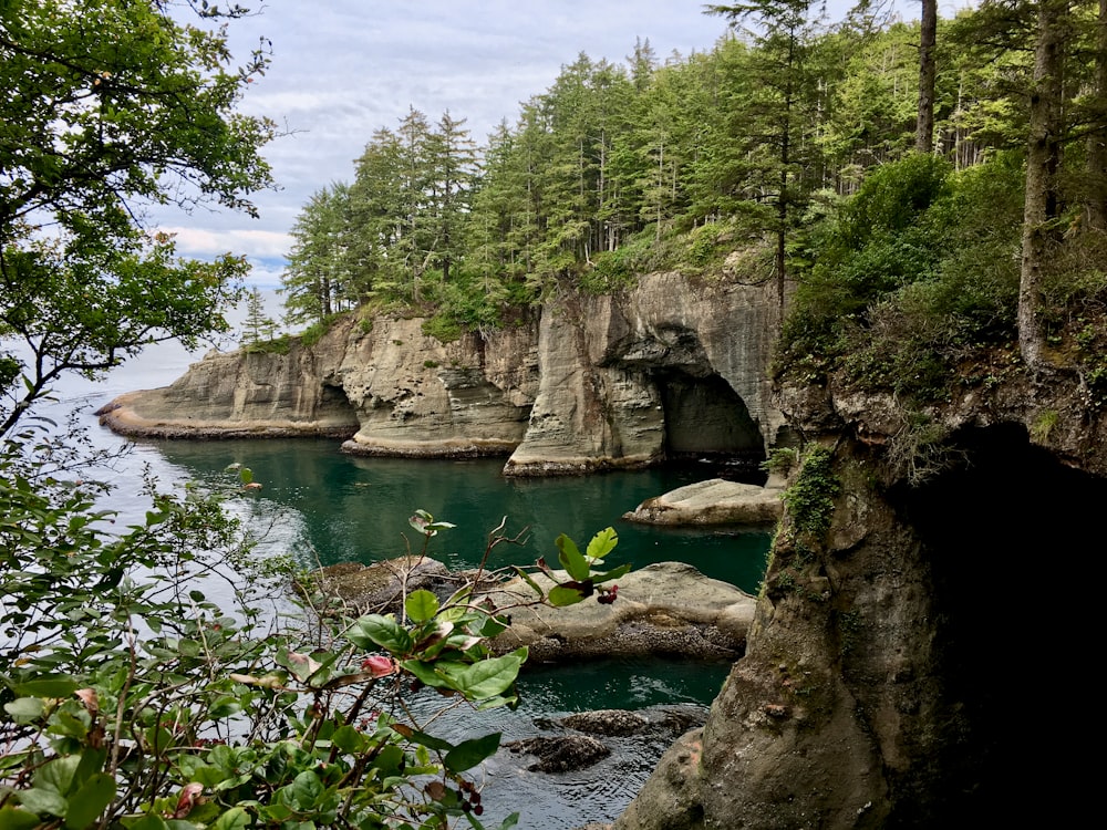 Un cuerpo de agua rodeado de árboles y rocas