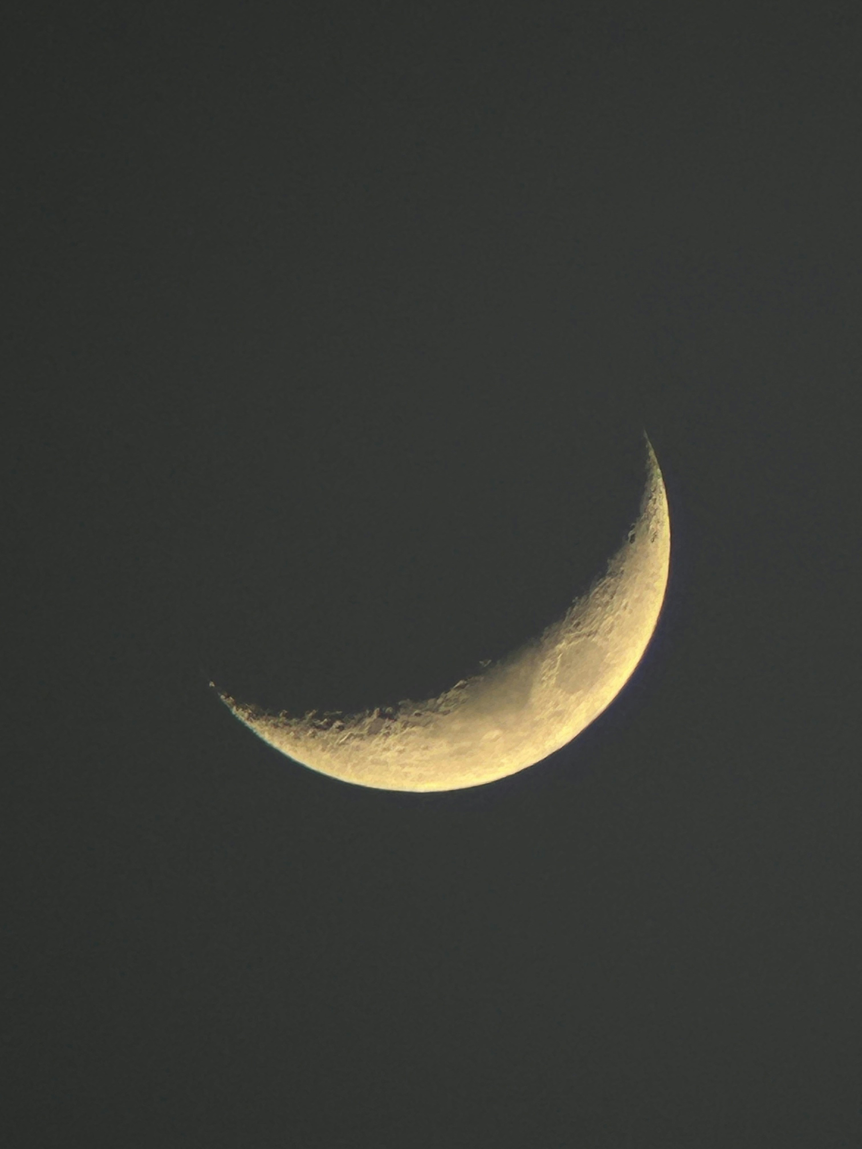 Photo by jeremiahlee