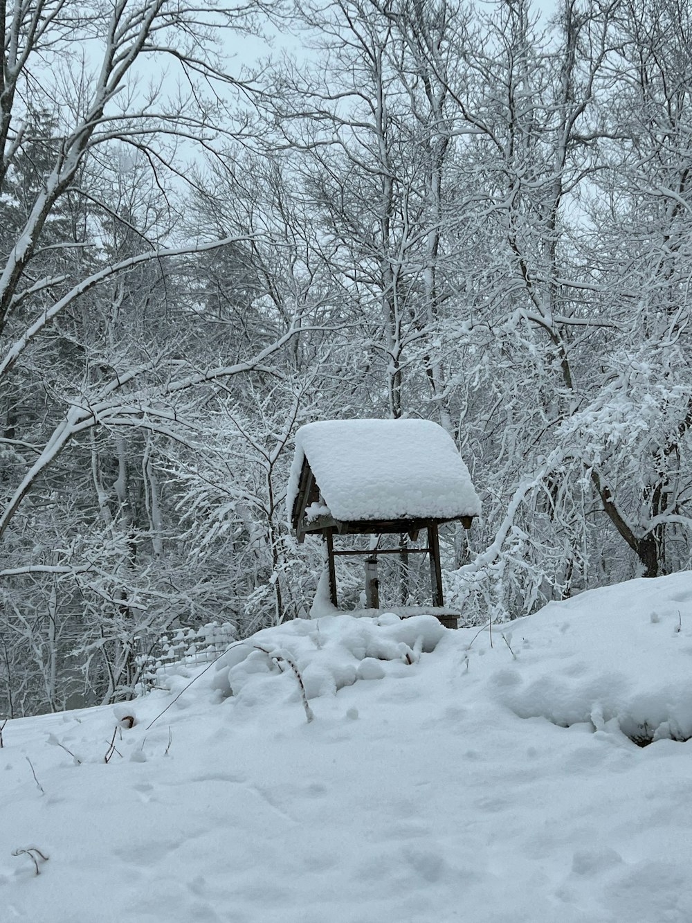 a small wooden structure in the middle of a snowy forest