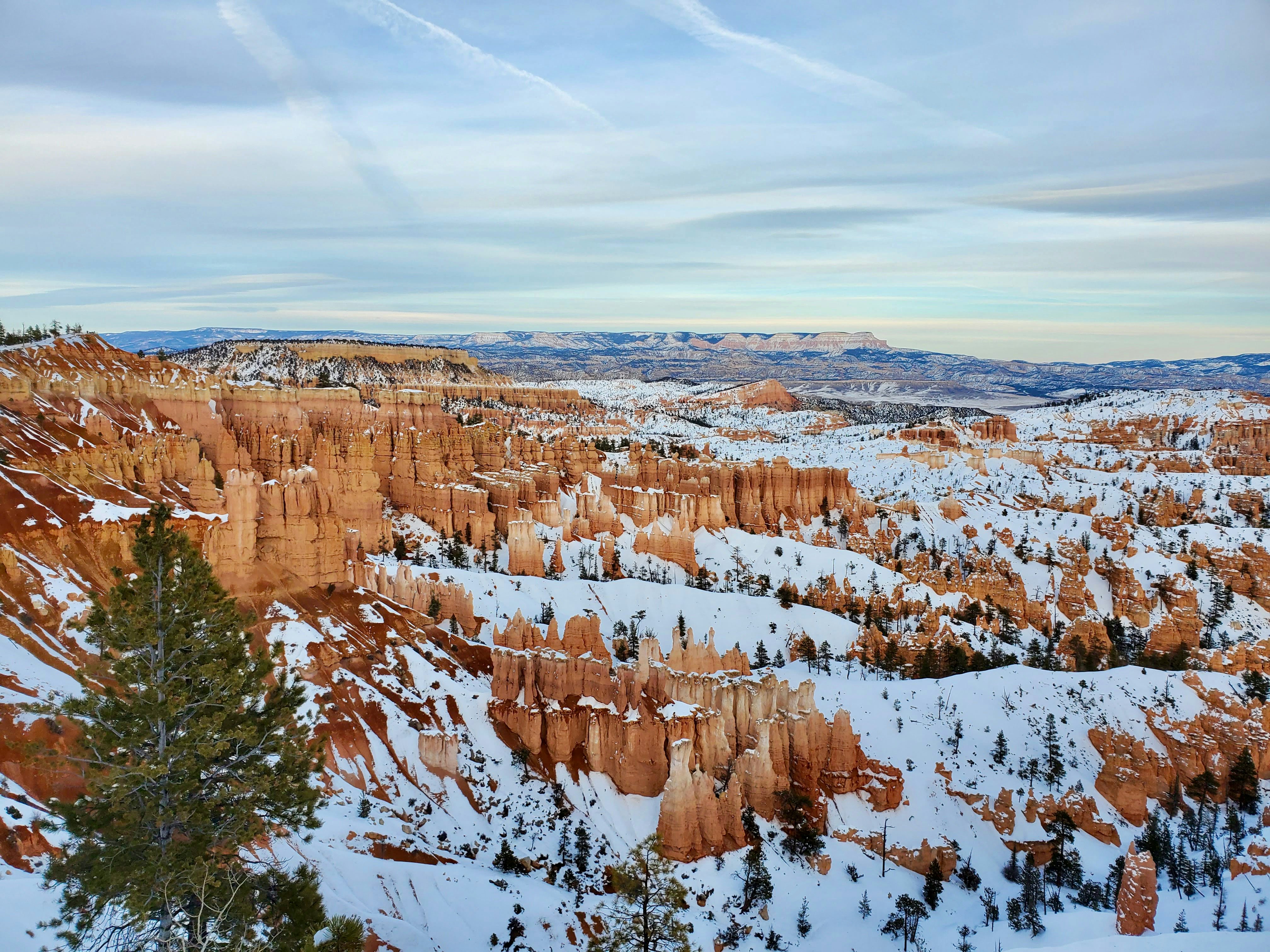 Photo by zoshuacolah