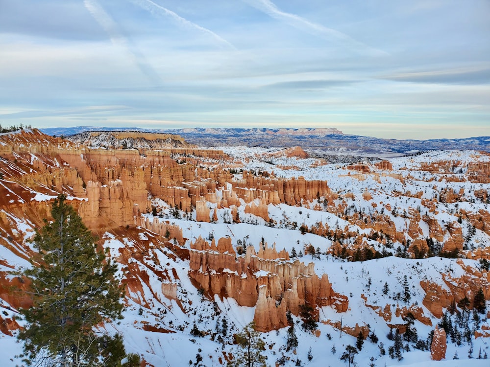 a scenic view of a snow covered canyon