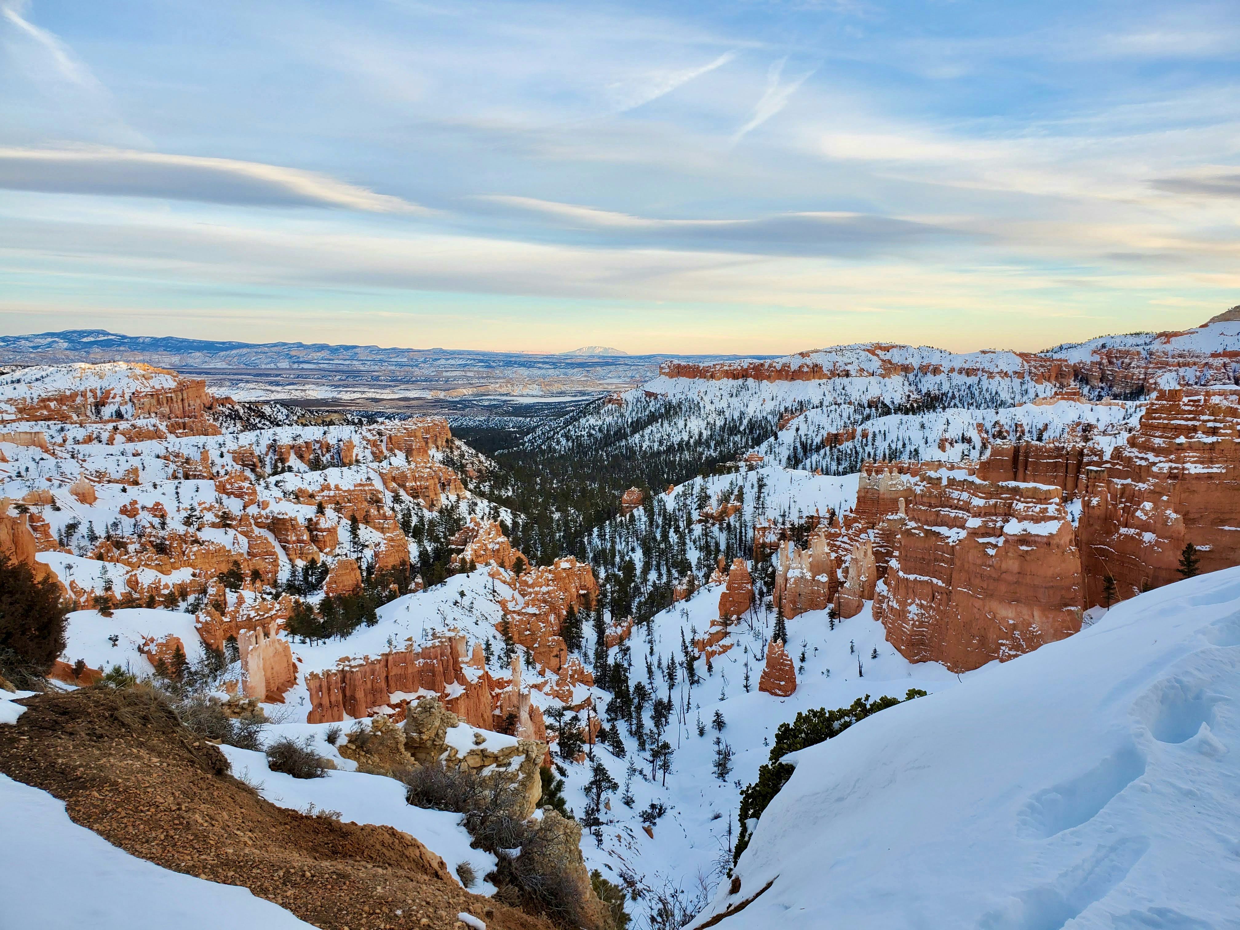 Photo by zoshuacolah