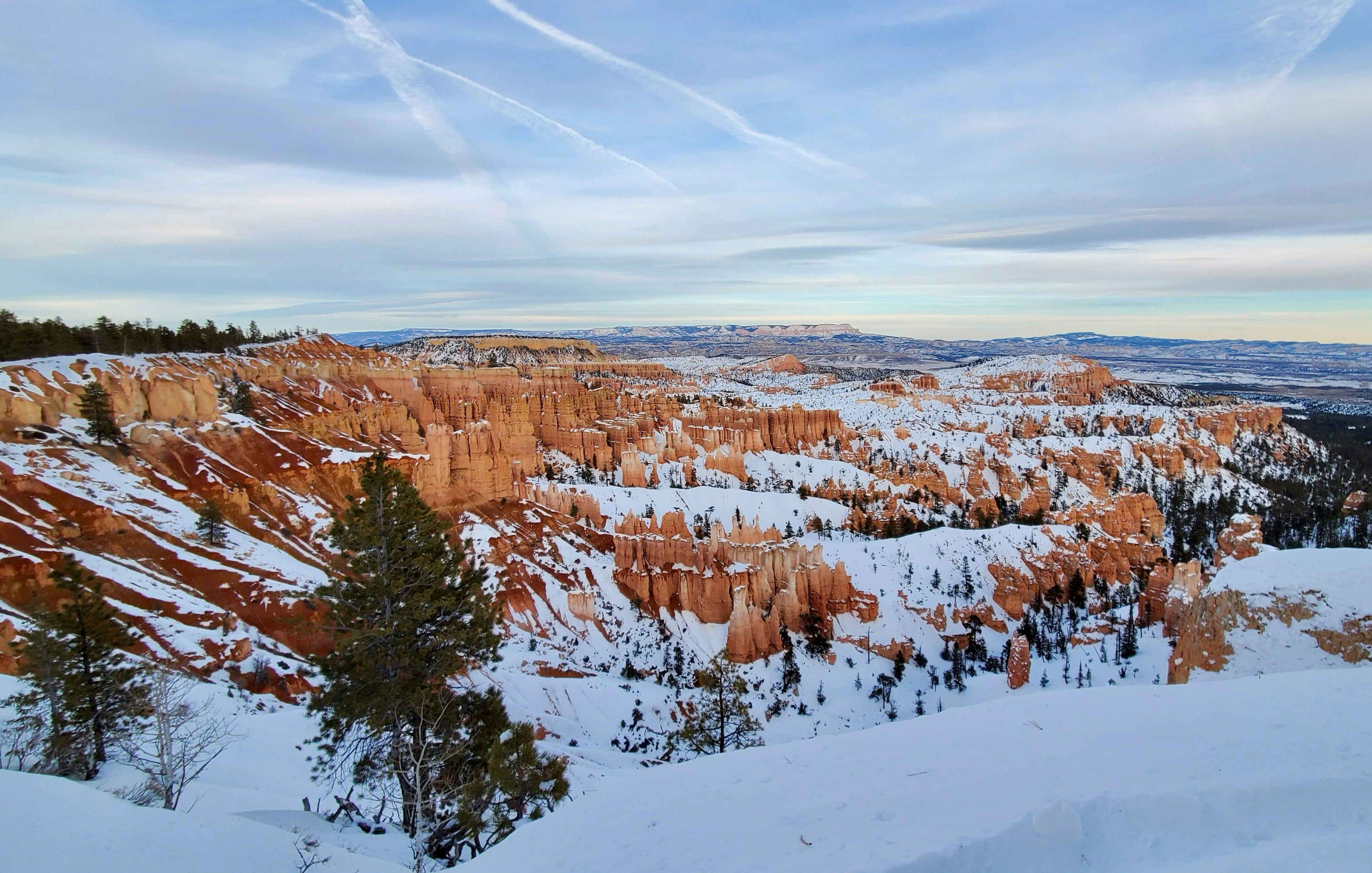 Photo by zoshuacolah