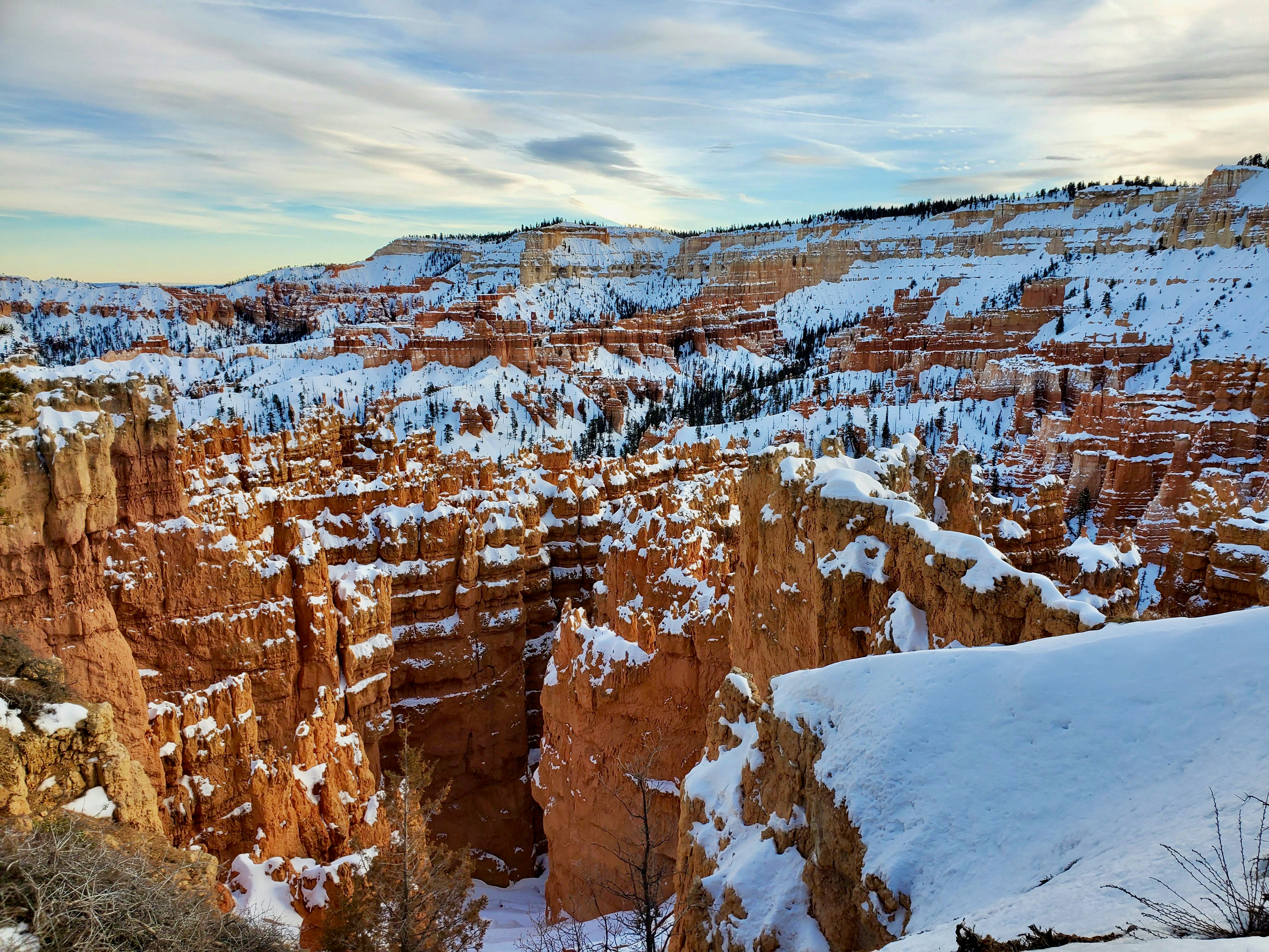 Photo by zoshuacolah