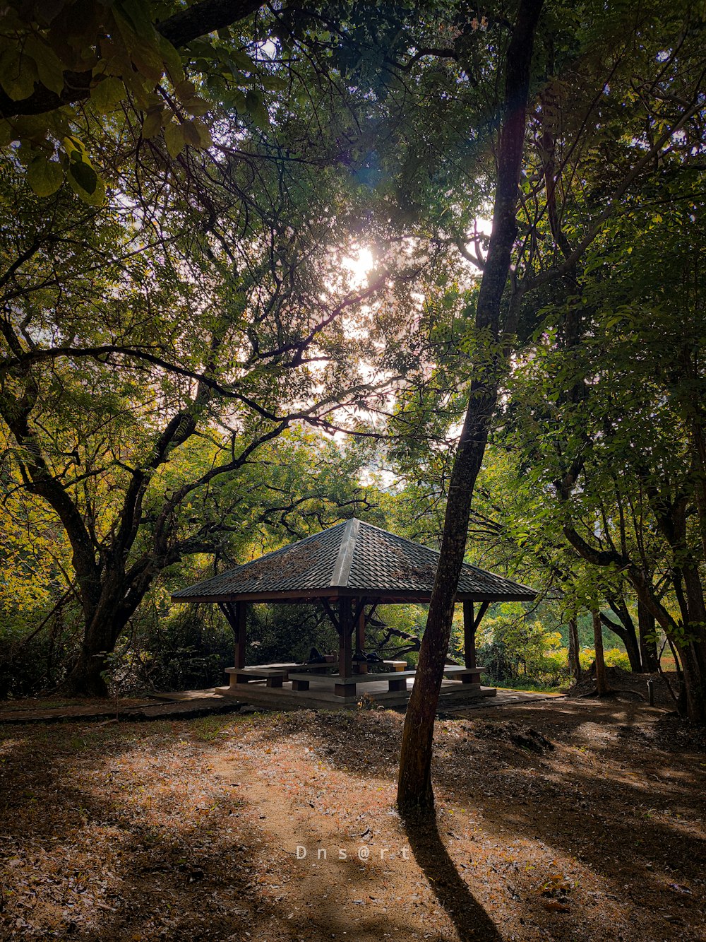 a gazebo surrounded by trees in a park