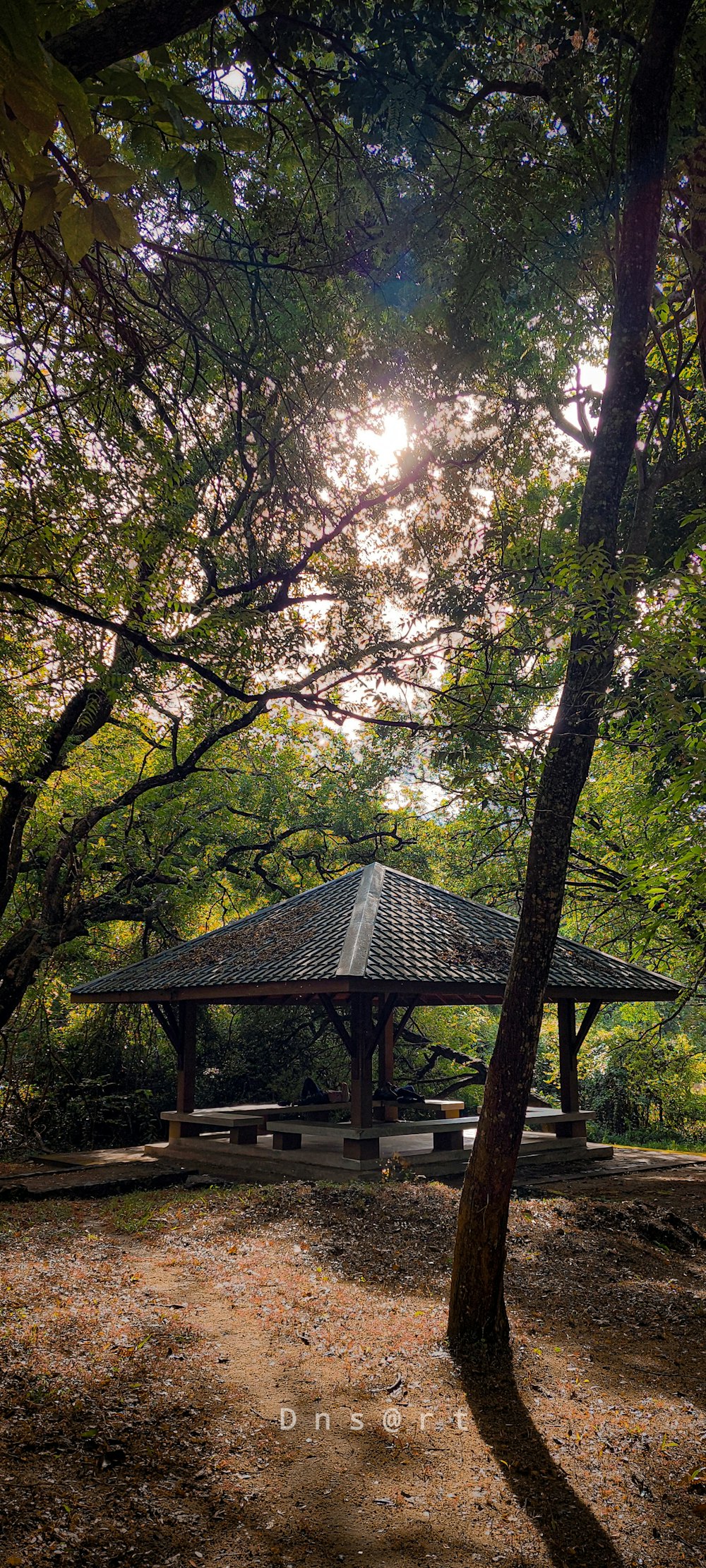 a gazebo surrounded by trees in a park