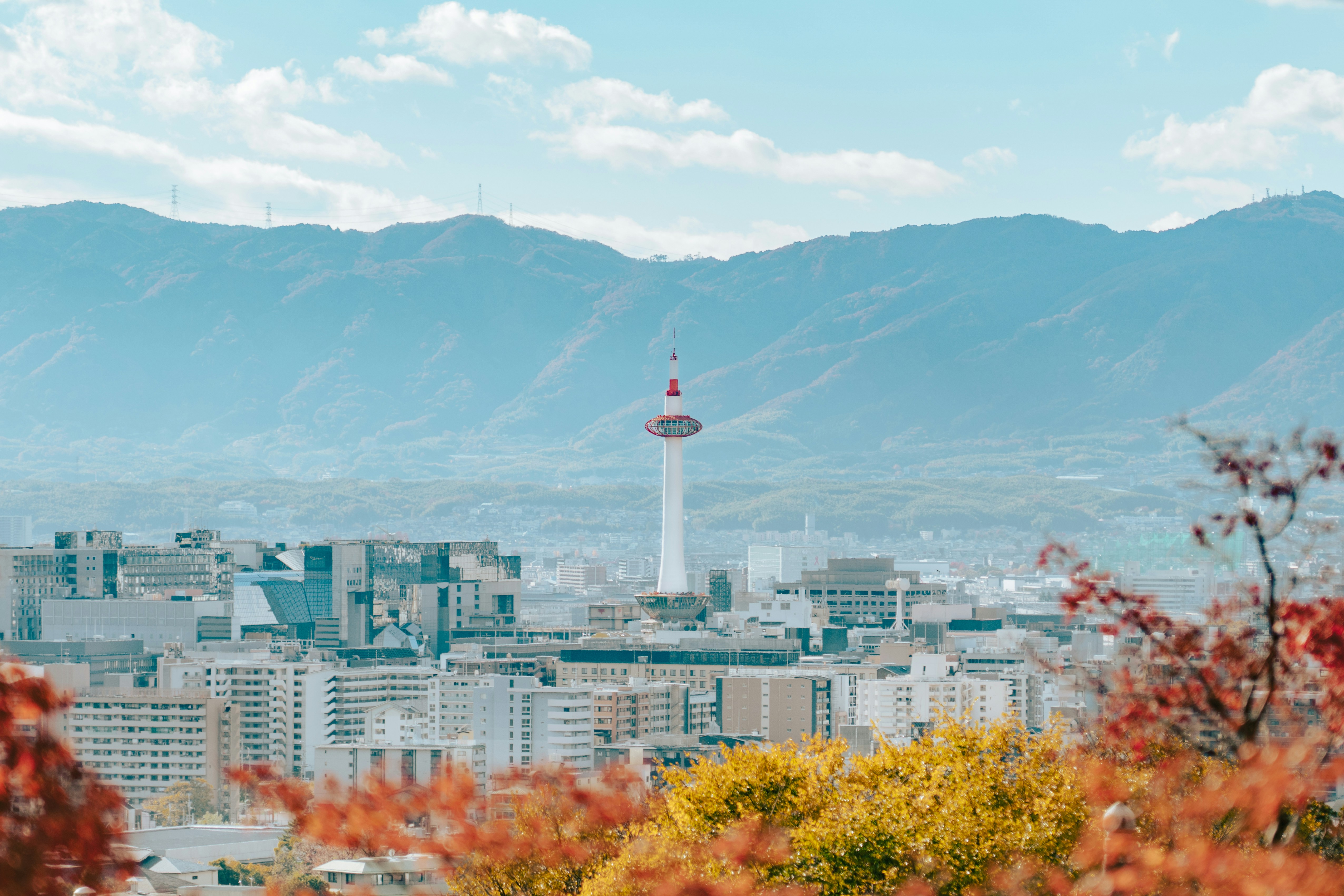 開日本代購店必學！電影與娛樂日文的遊戲化速成攻略