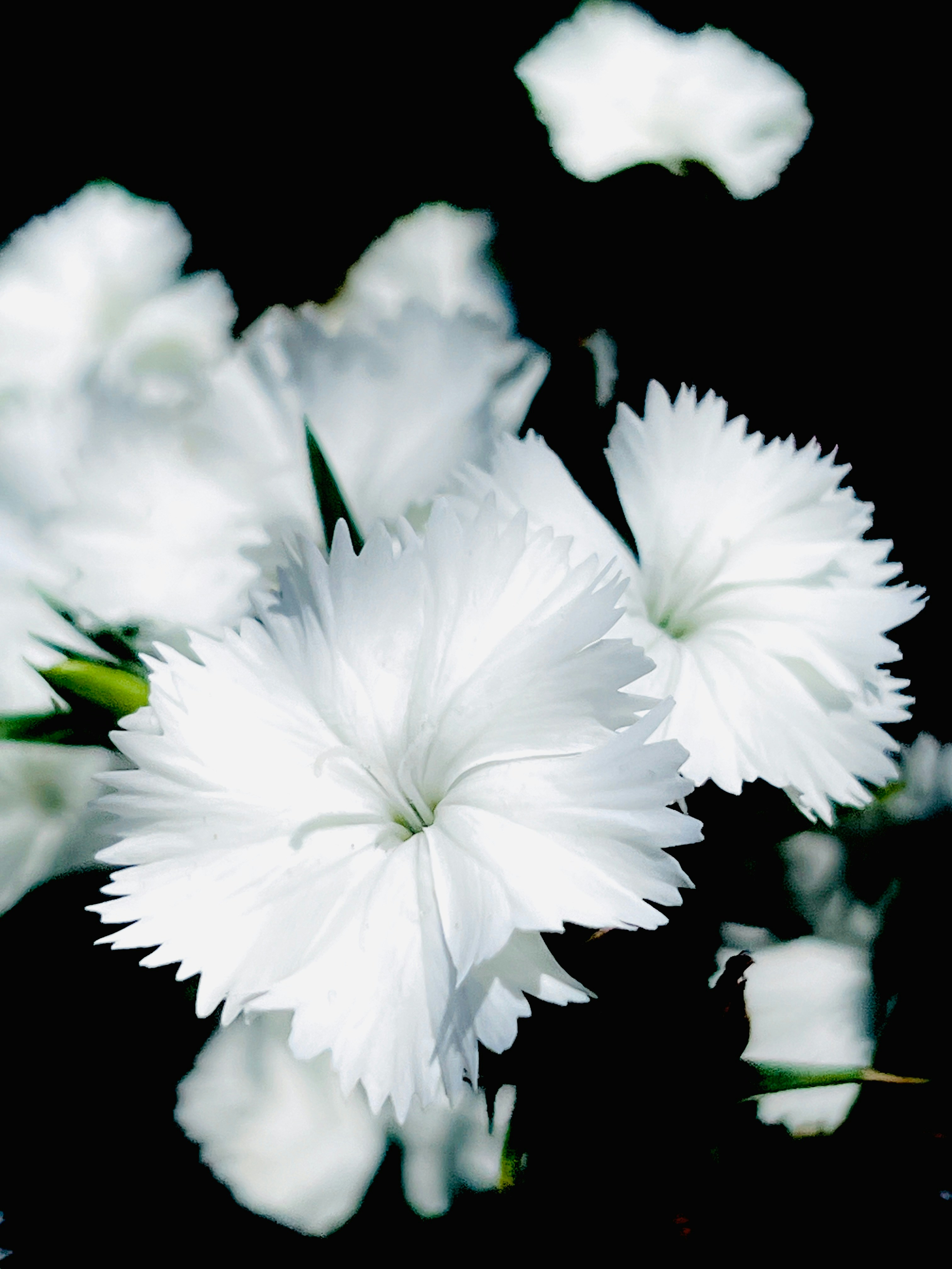 Photo by thanhliem178