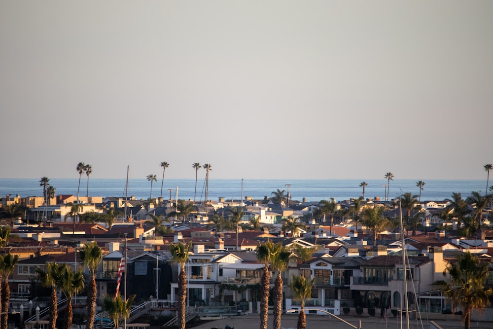 a view of a city with palm trees and the ocean in the background