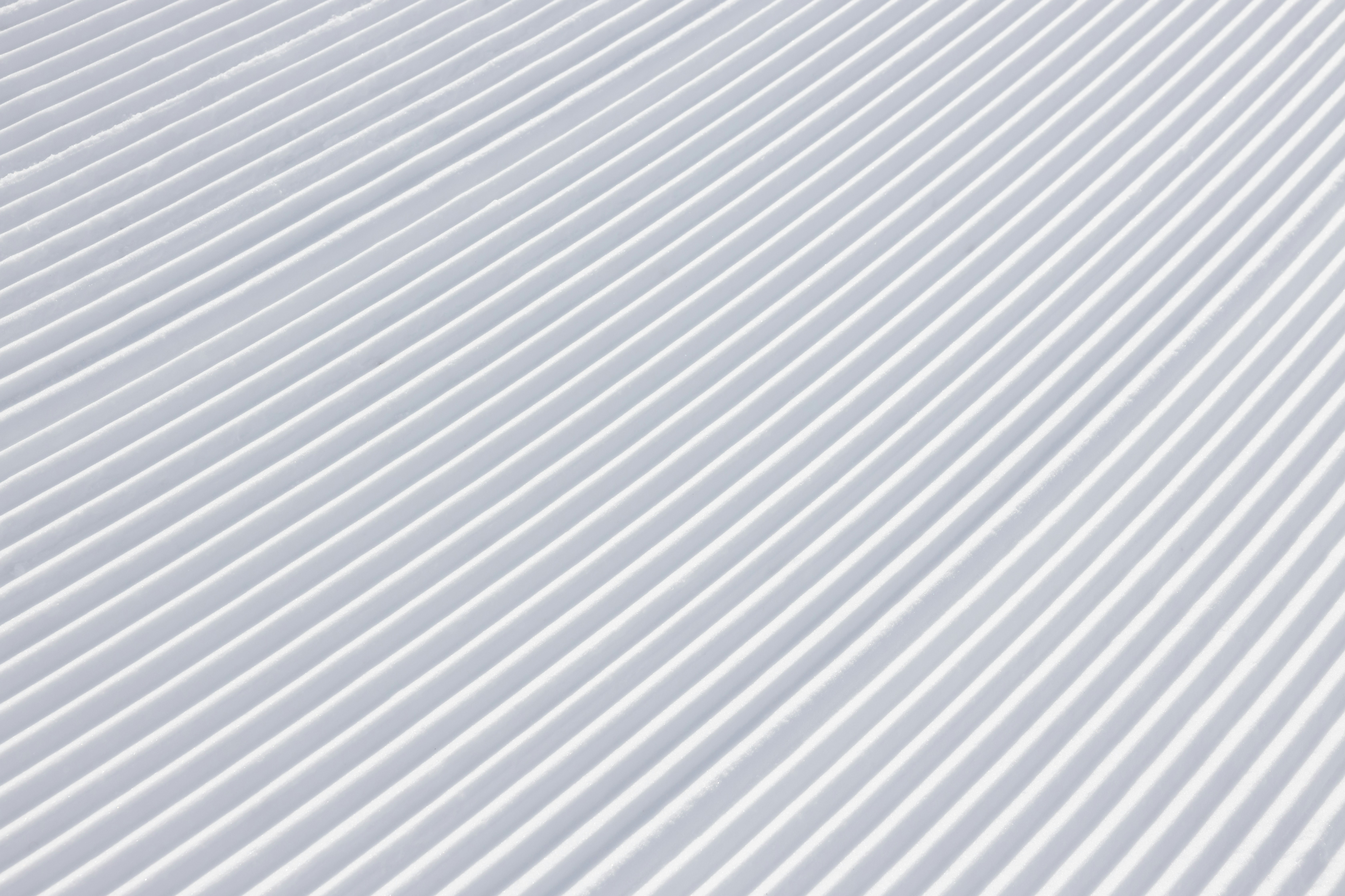 Photo by greg_rosenke