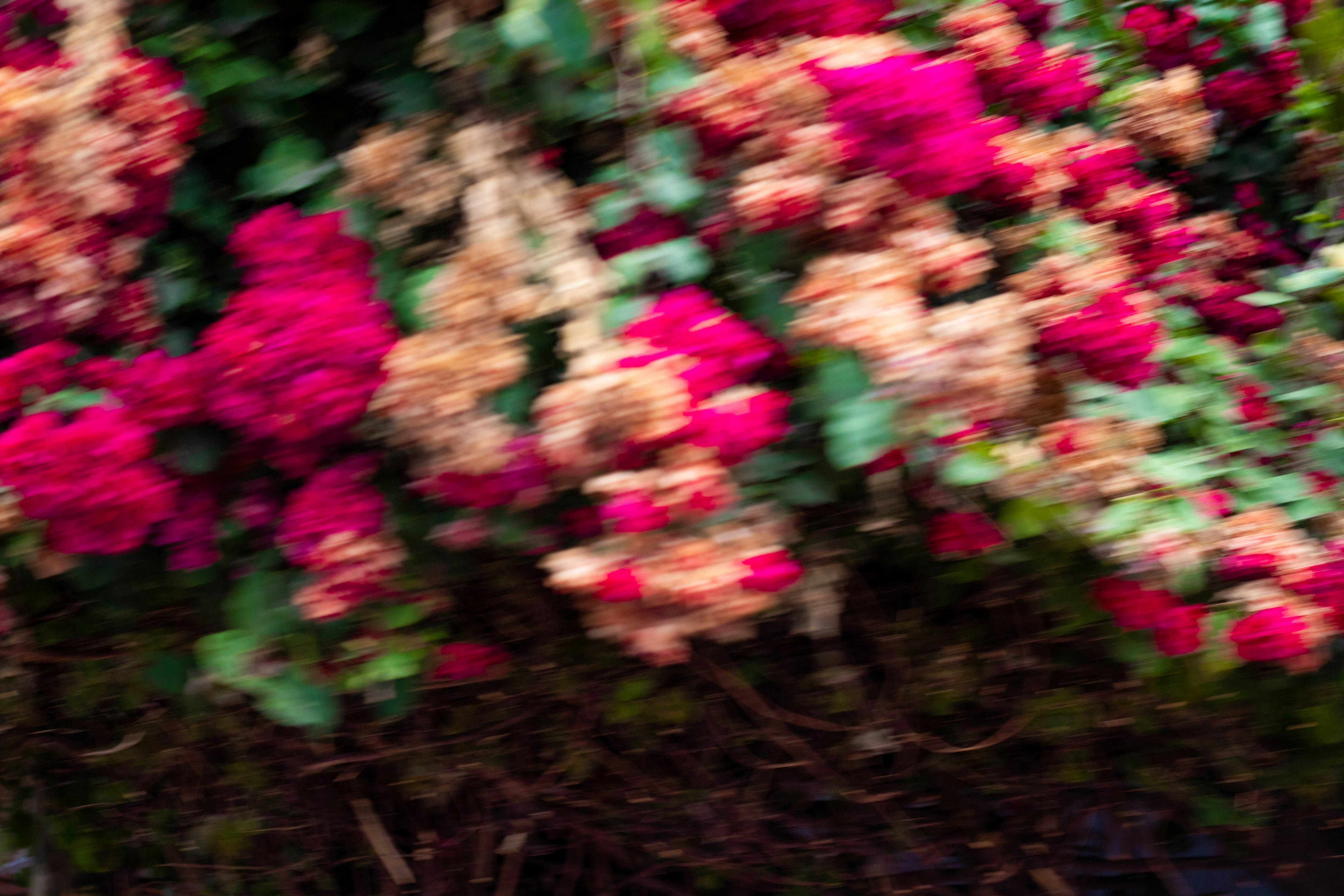 Photo by alexgallegos