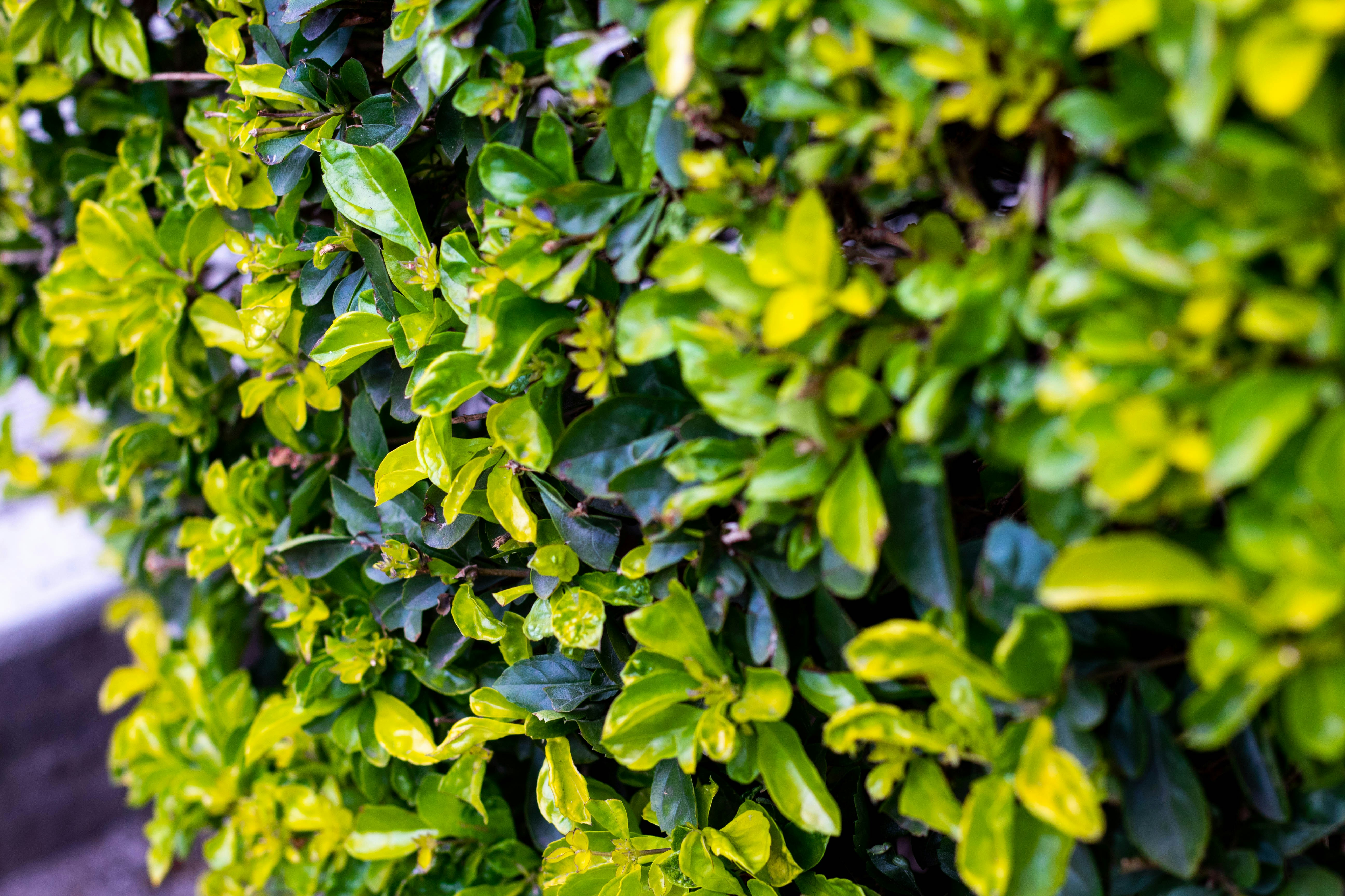 Photo by alexgallegos