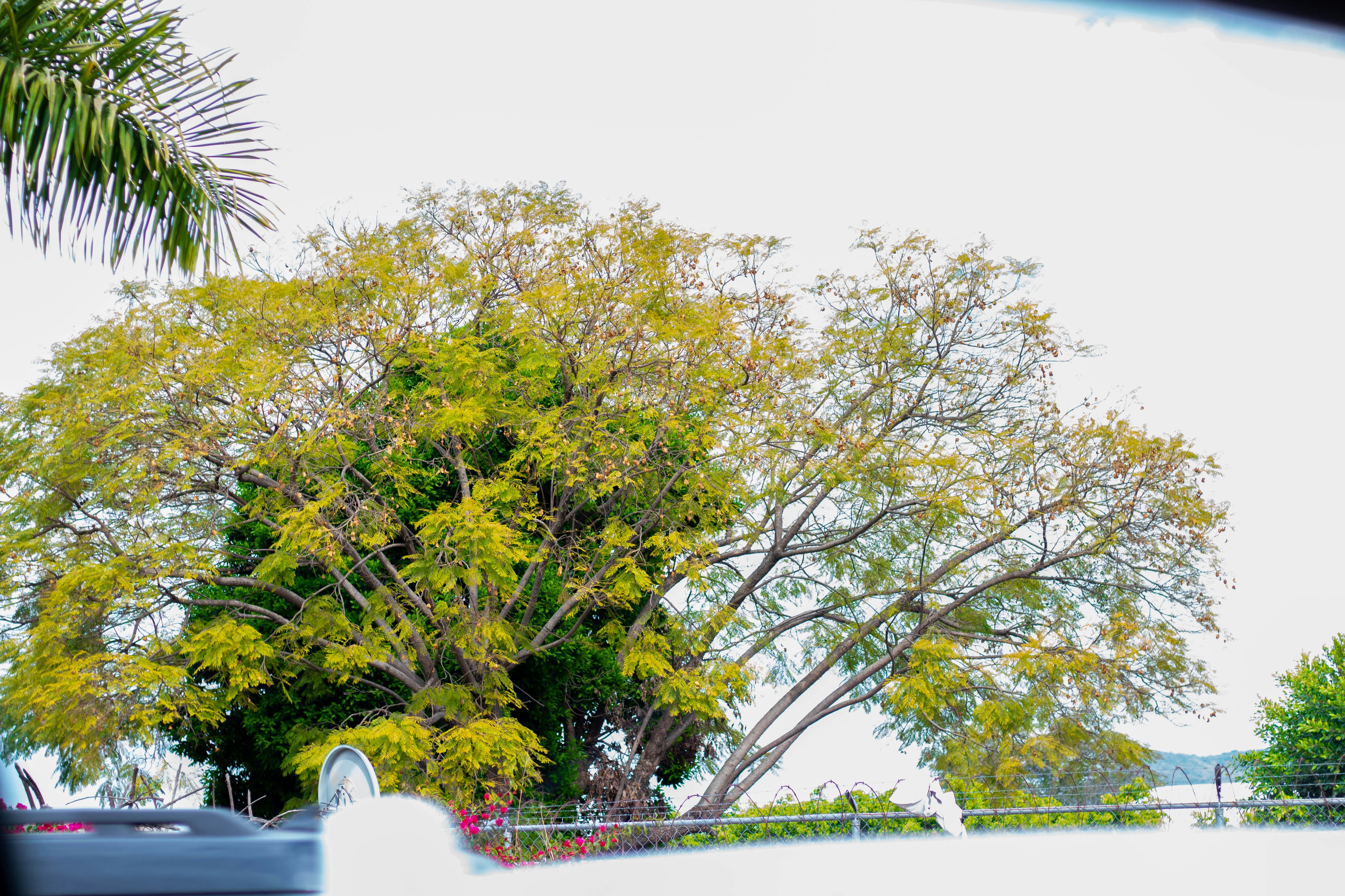 Photo by alexgallegos