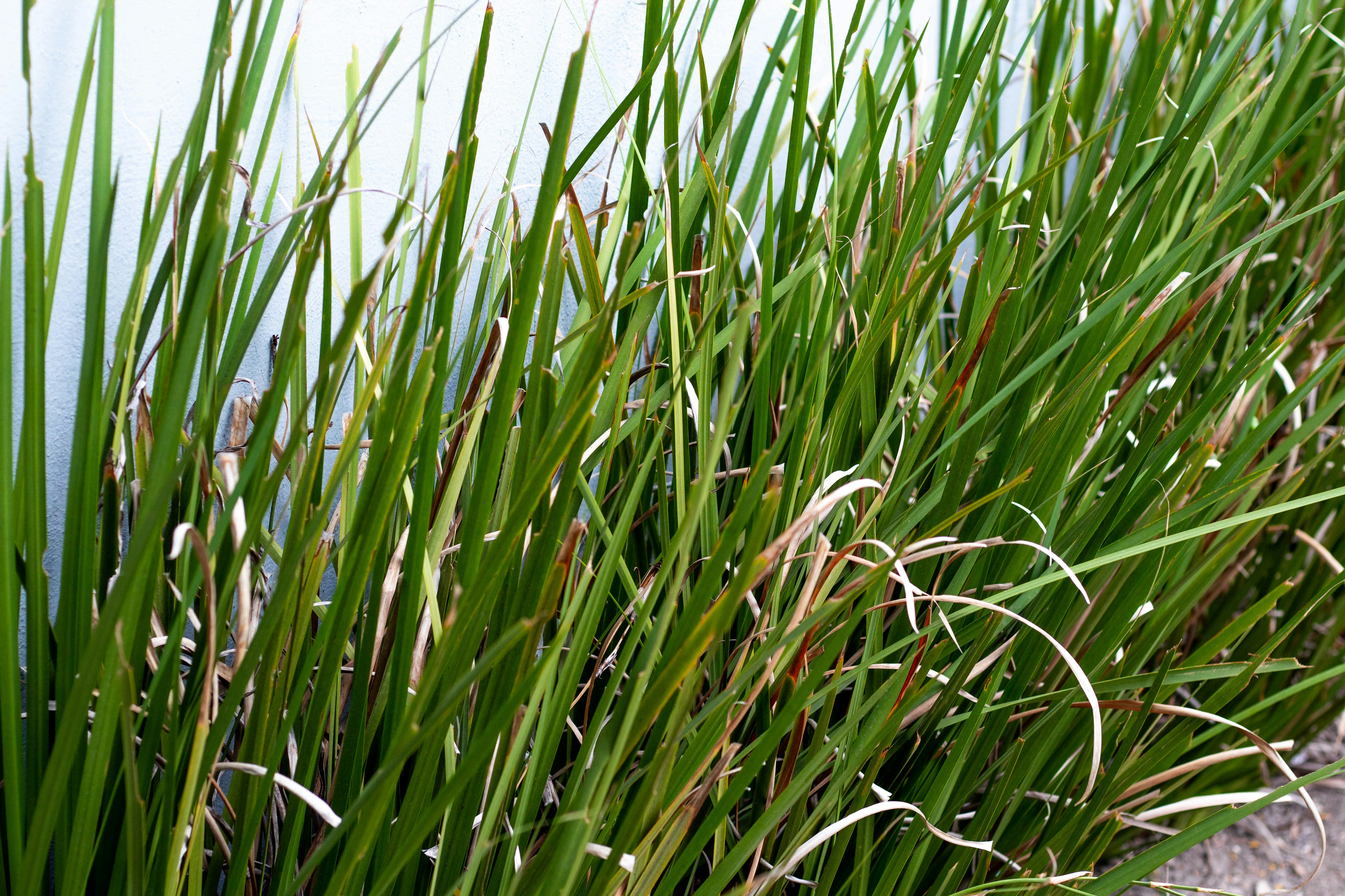 Photo by alexgallegos