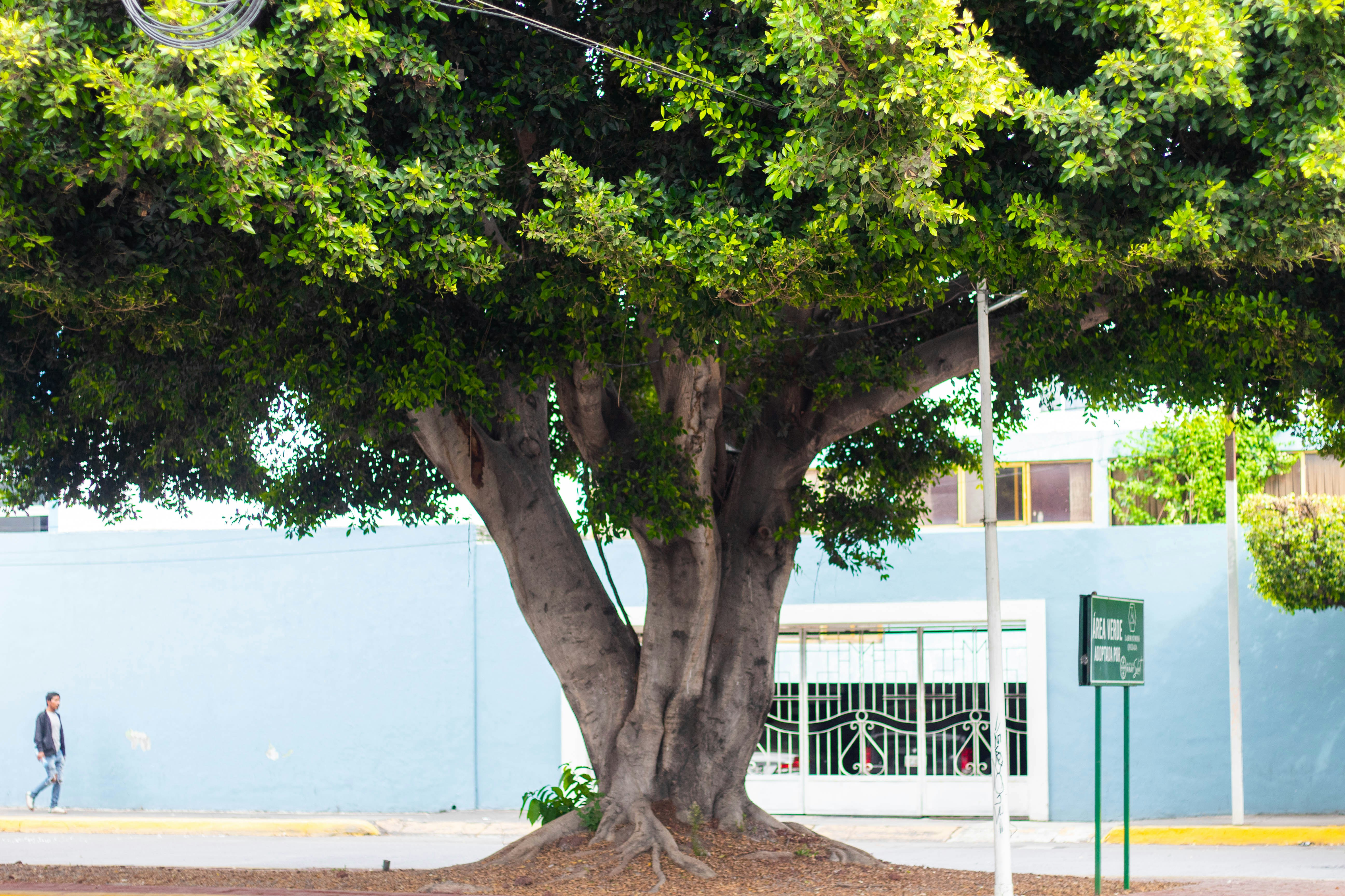 Photo by alexgallegos