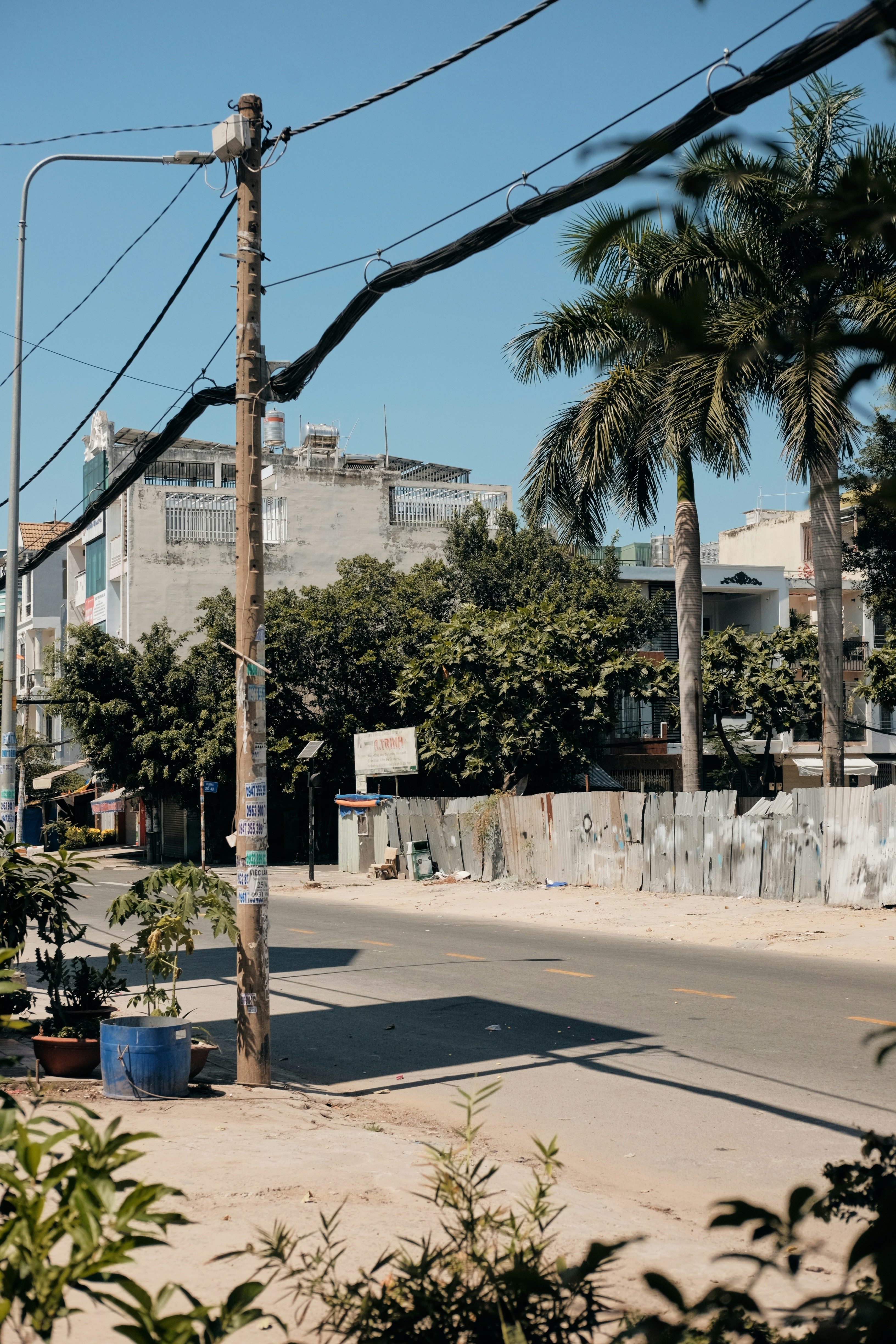 a city street with palm trees and power lines