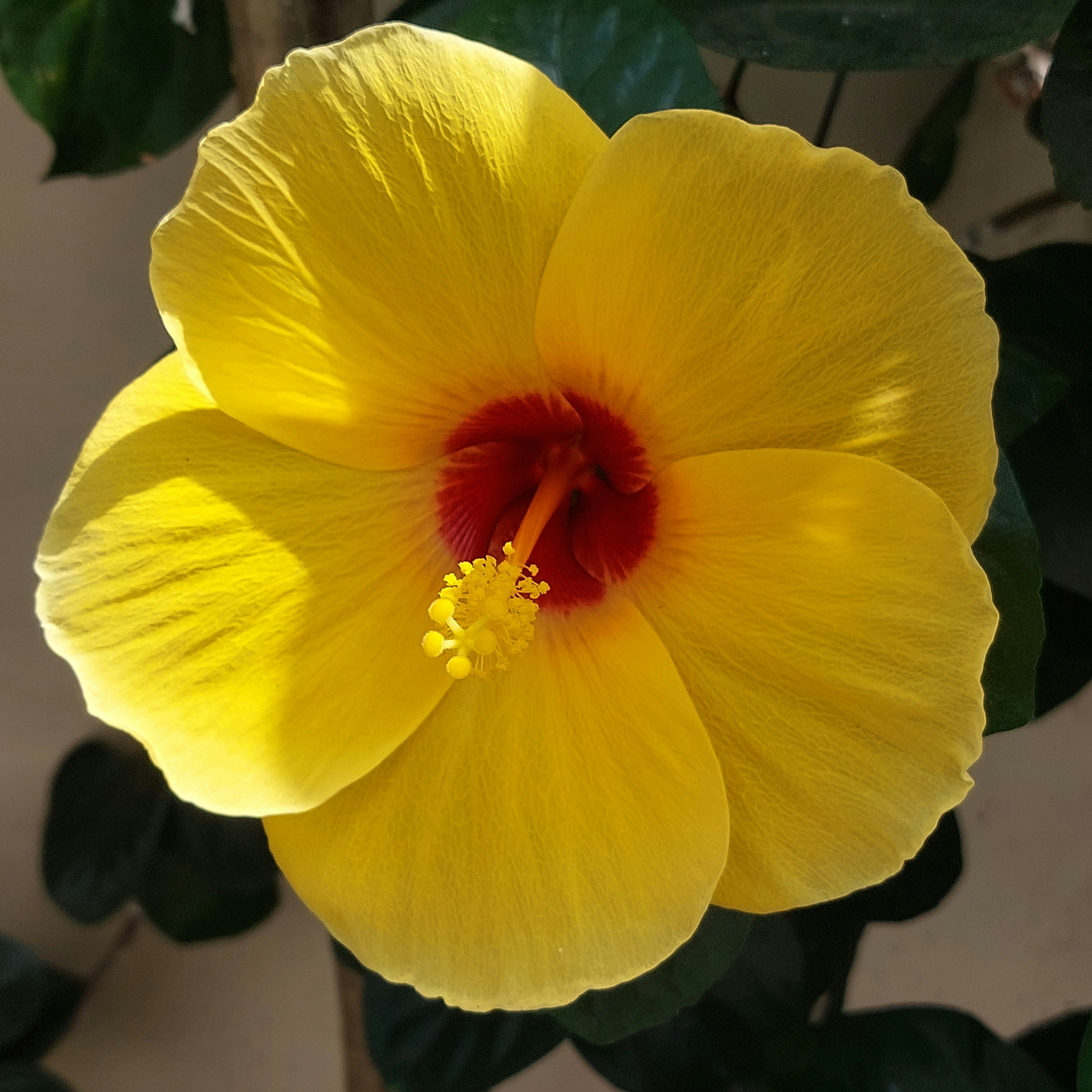 Photo by denisse_victoria