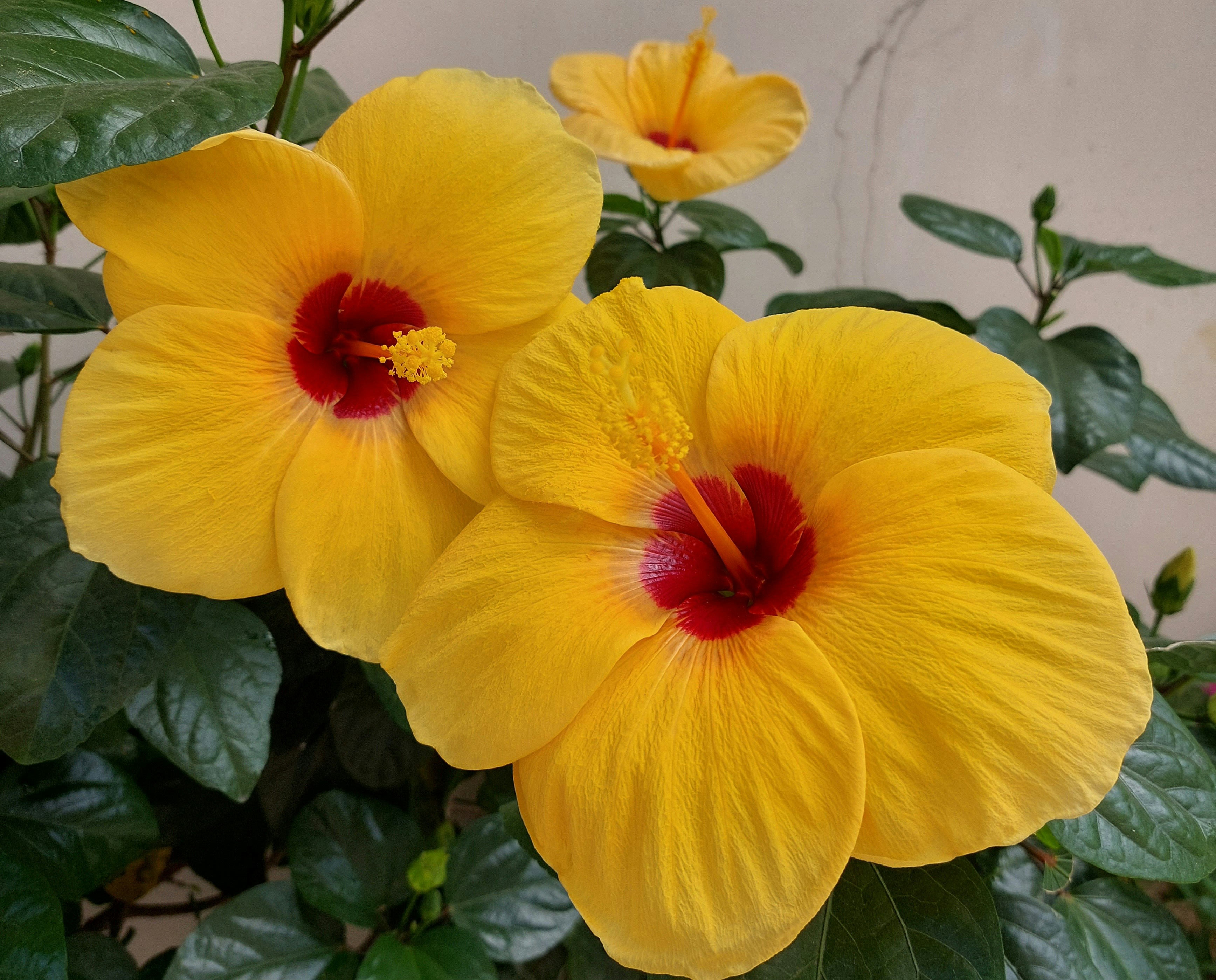 Photo by denisse_victoria