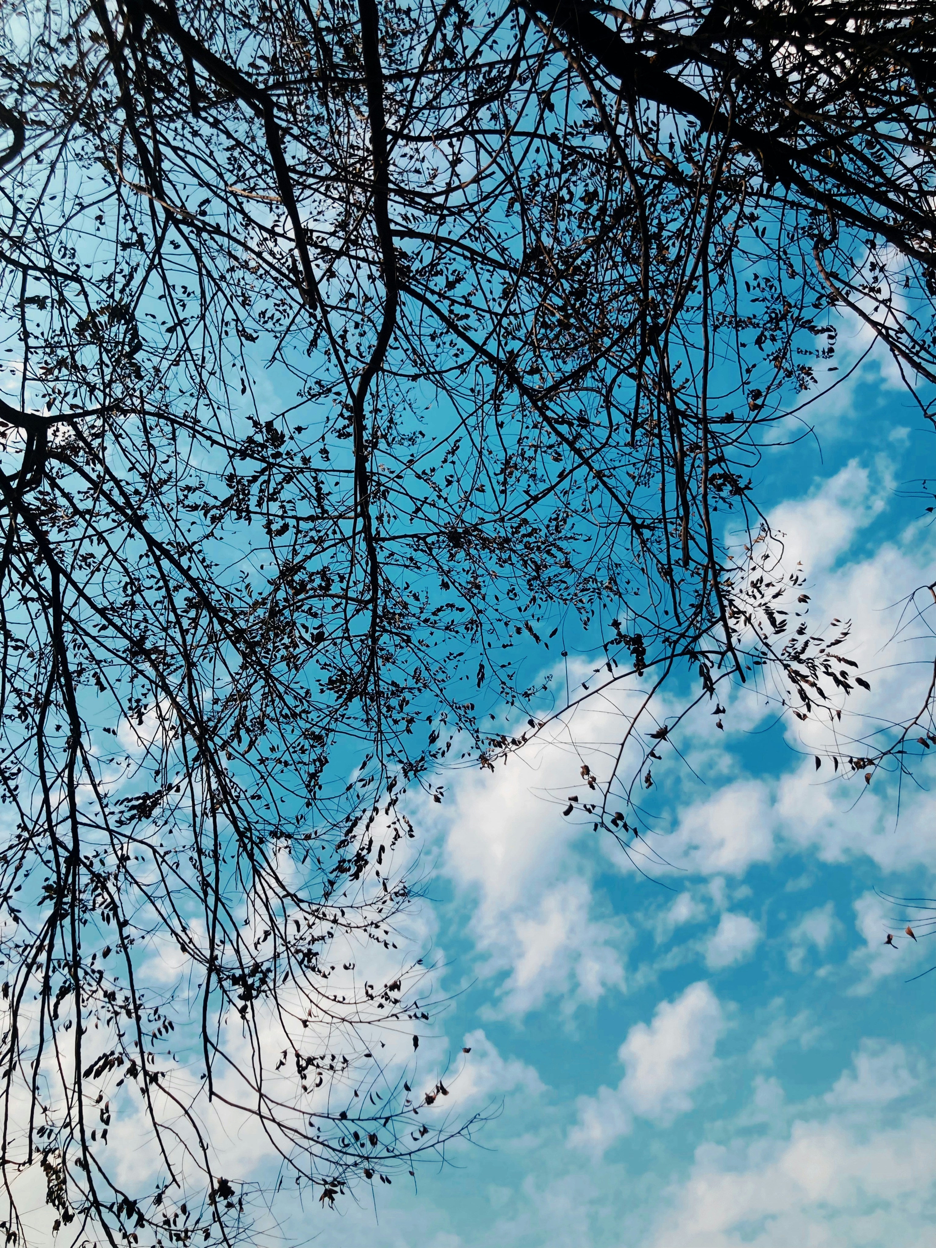 Photo by imanavsarao