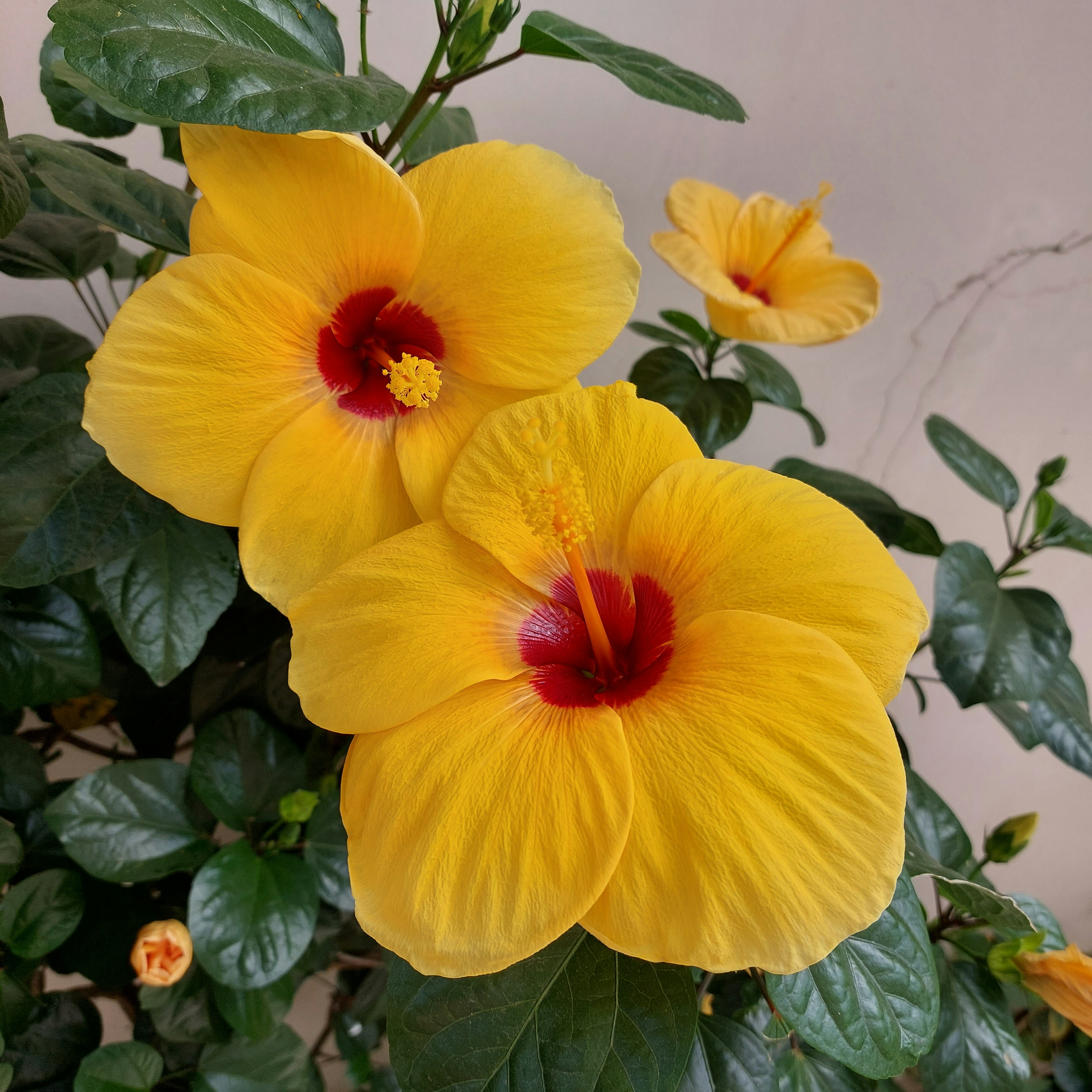 Photo by denisse_victoria