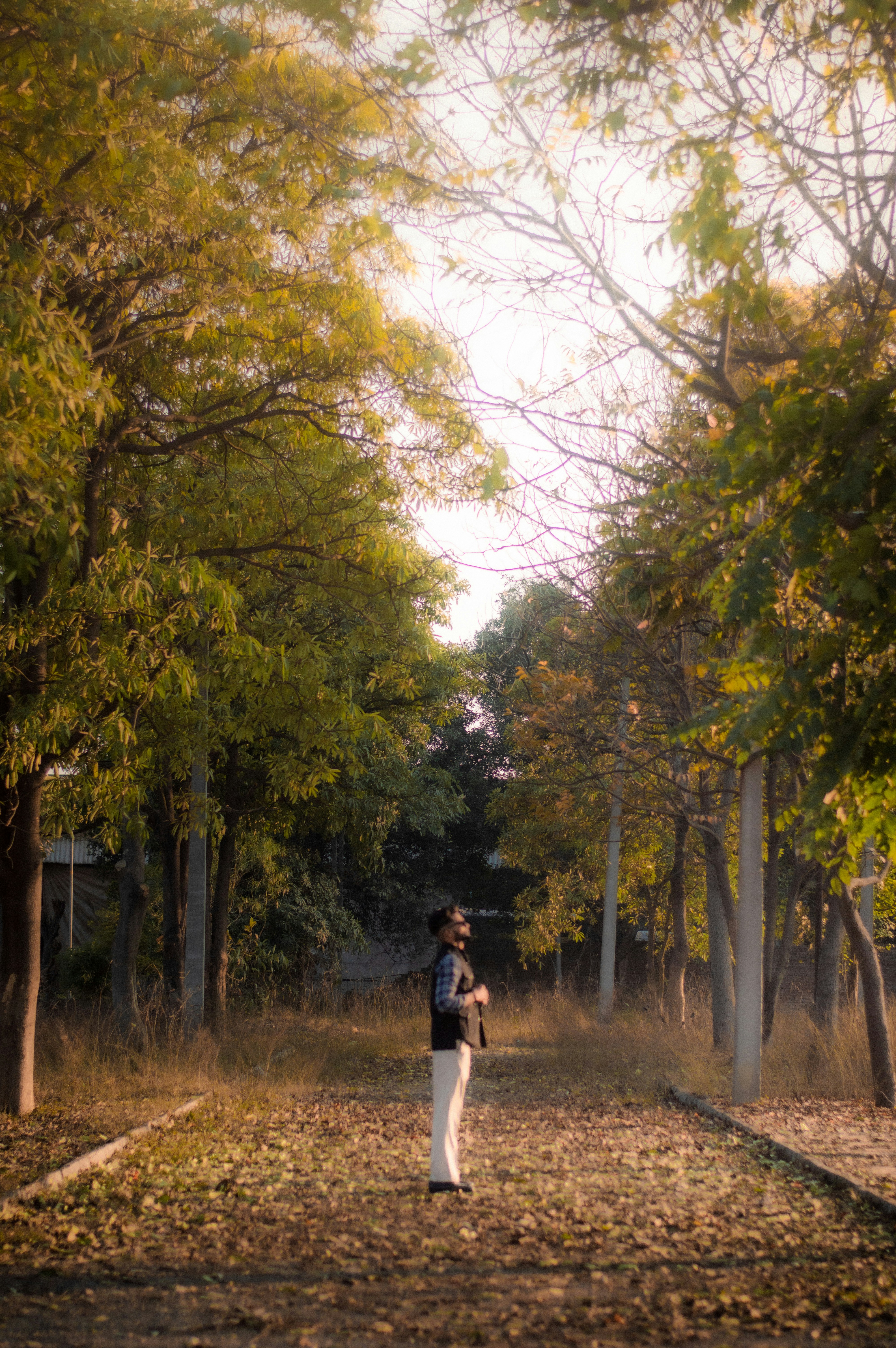 Photo by imanavsarao