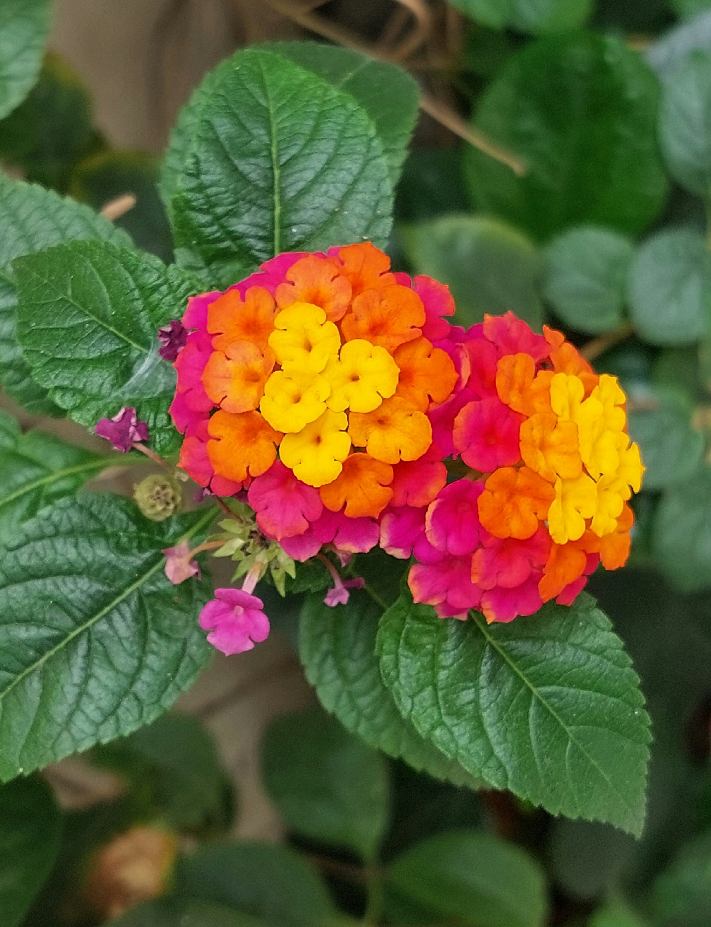 Photo by denisse_victoria