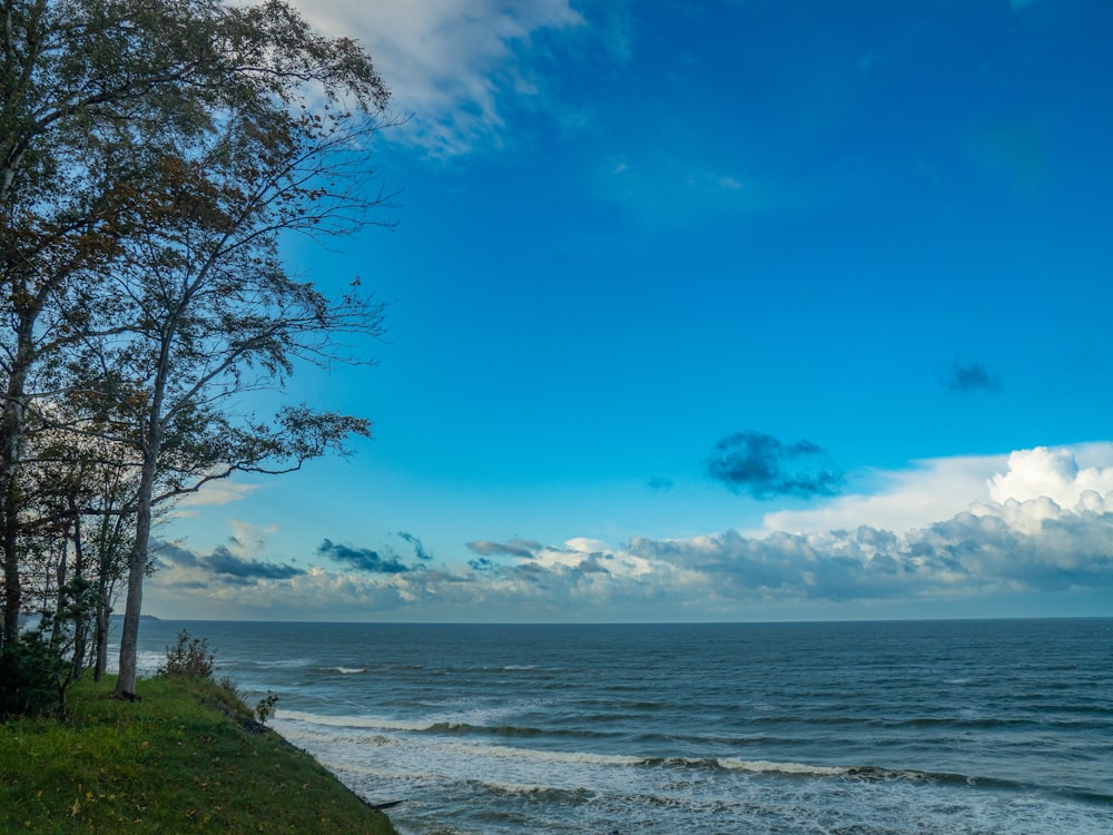 a view of the ocean from the shore line