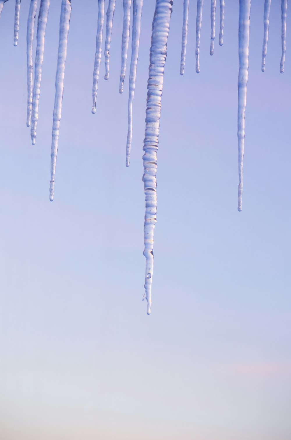 a group of icicles hanging from a blue sky
