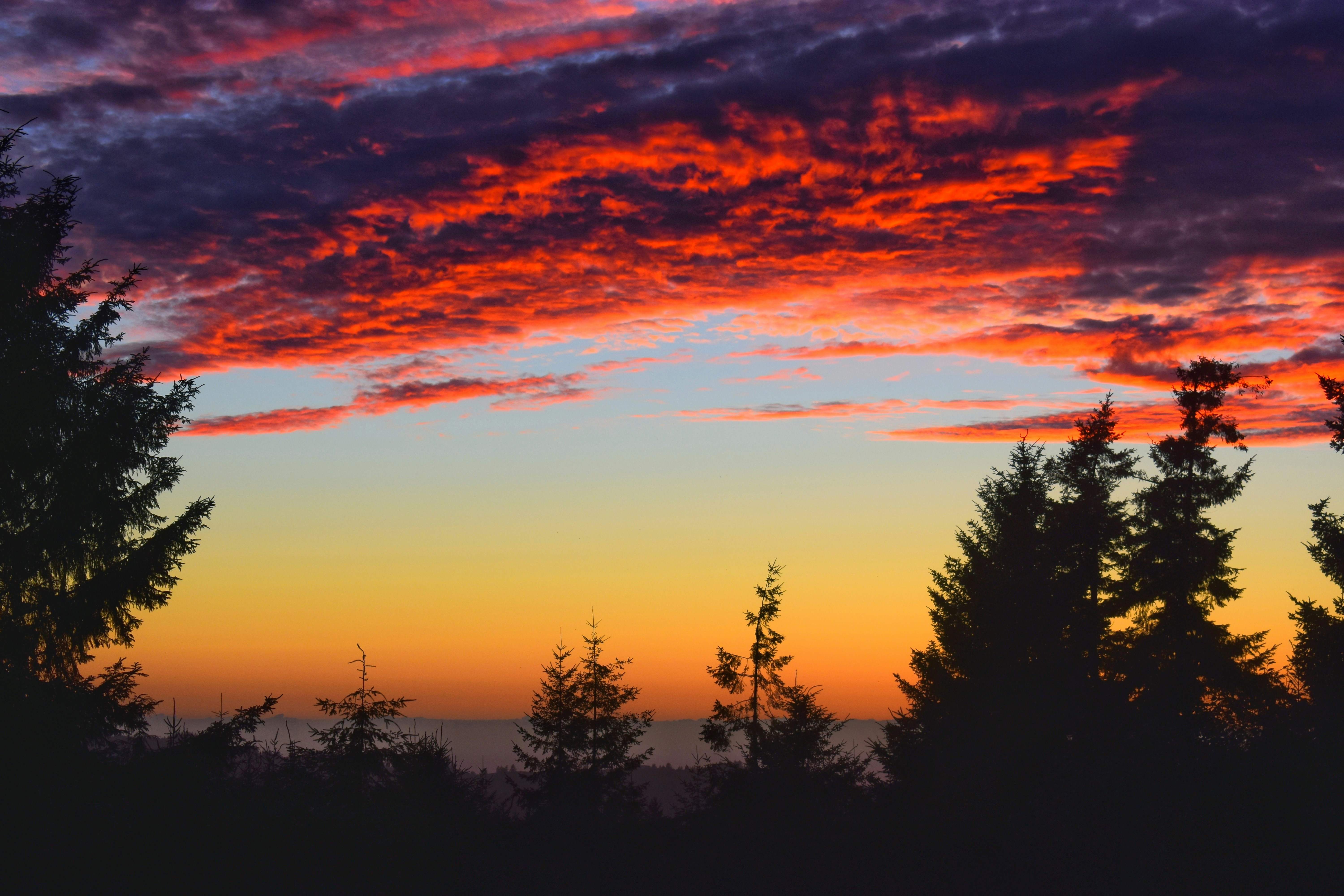 25 Twin Peaks Quotes That Will Haunt Your Soul: Must-Read