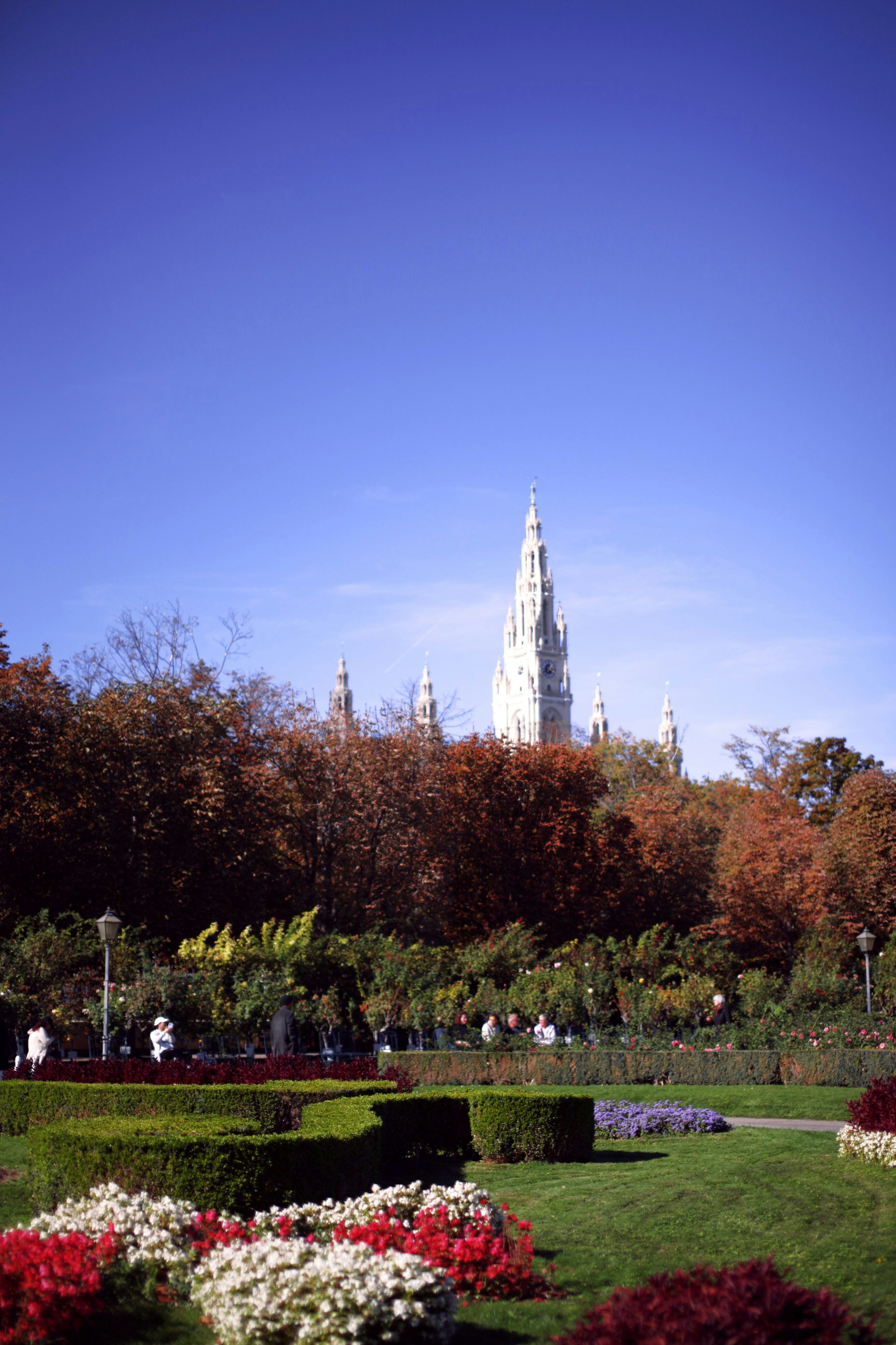 People Enjoying In A Park