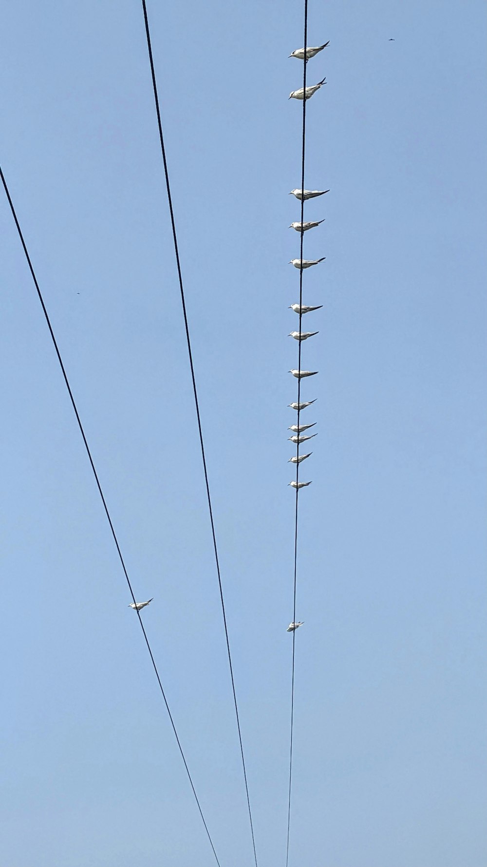 an electric pole with many wires above it