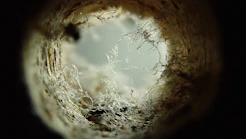 a close up of a hole in a tree trunk