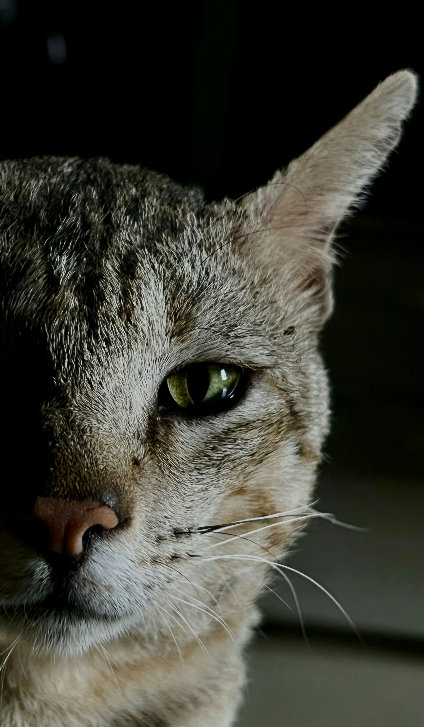 Photo by through_his_lens