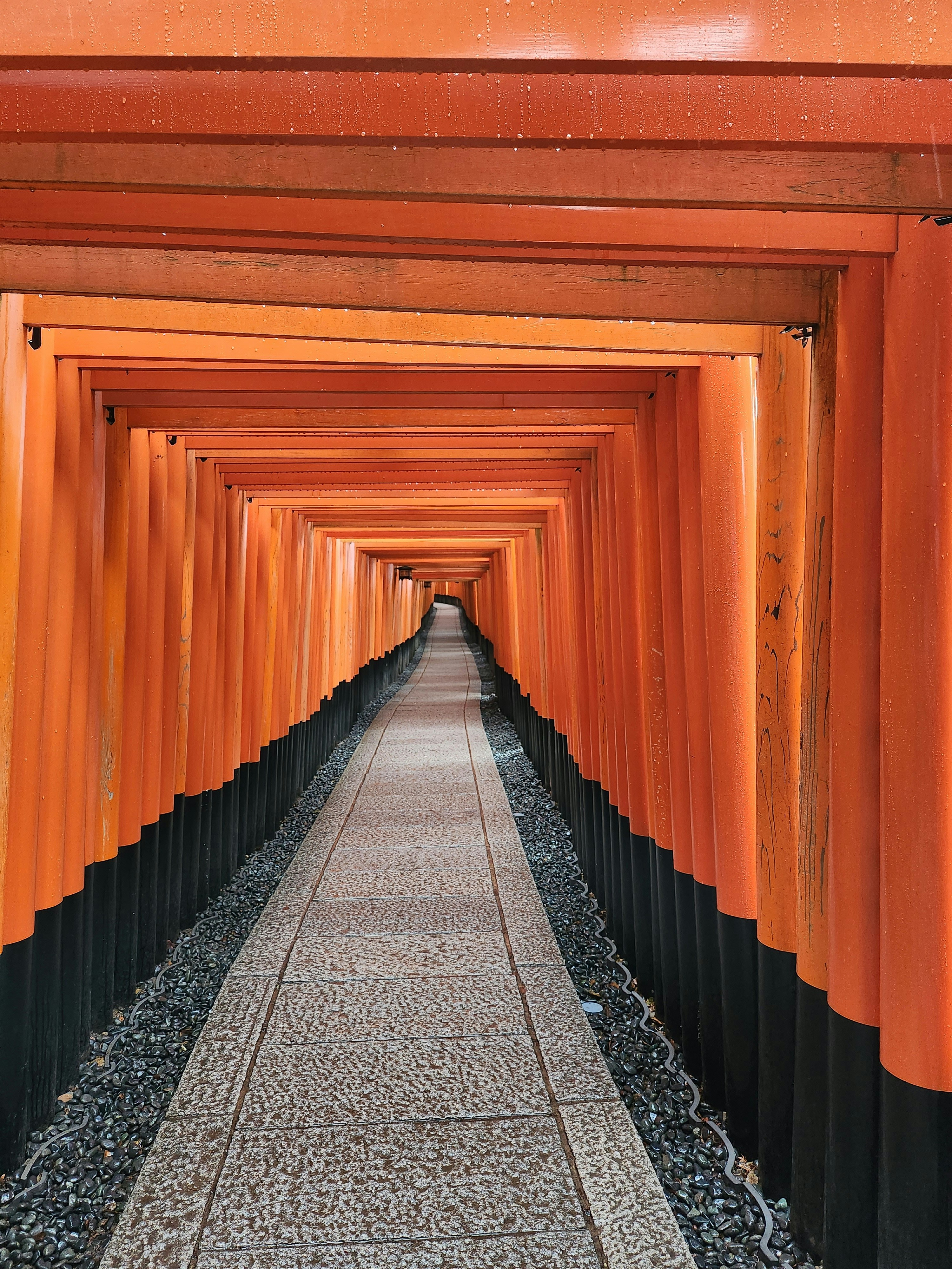 a walkway lined with orange and black columns