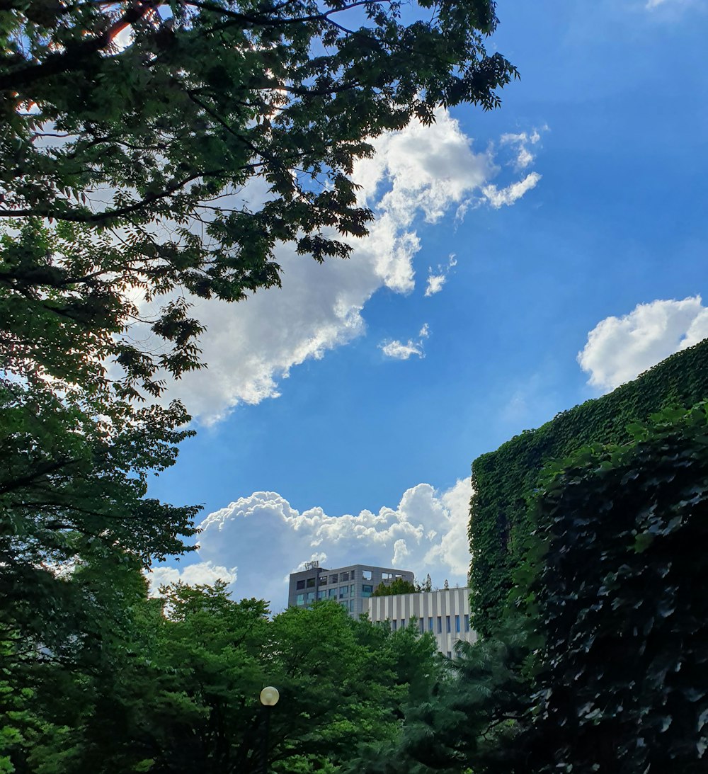 a tall building sitting next to a lush green forest