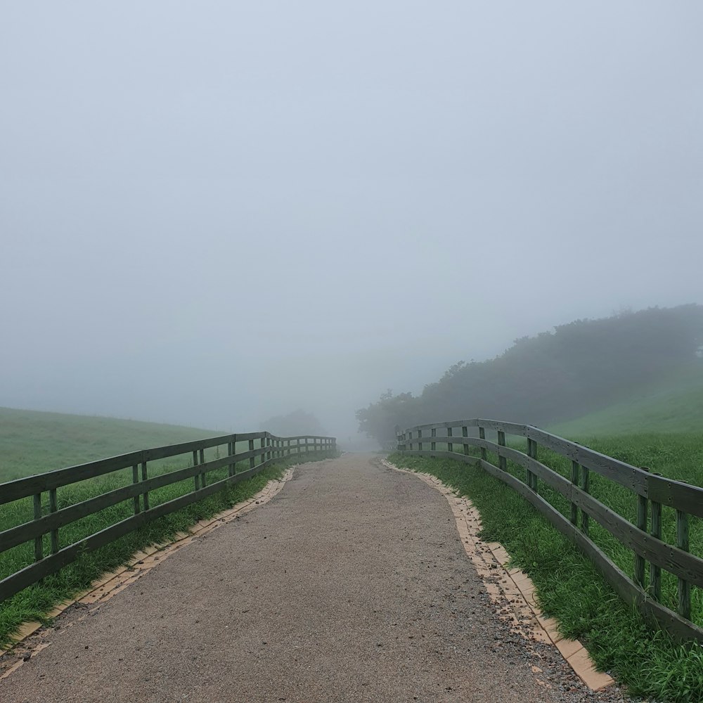 a foggy day on a country road